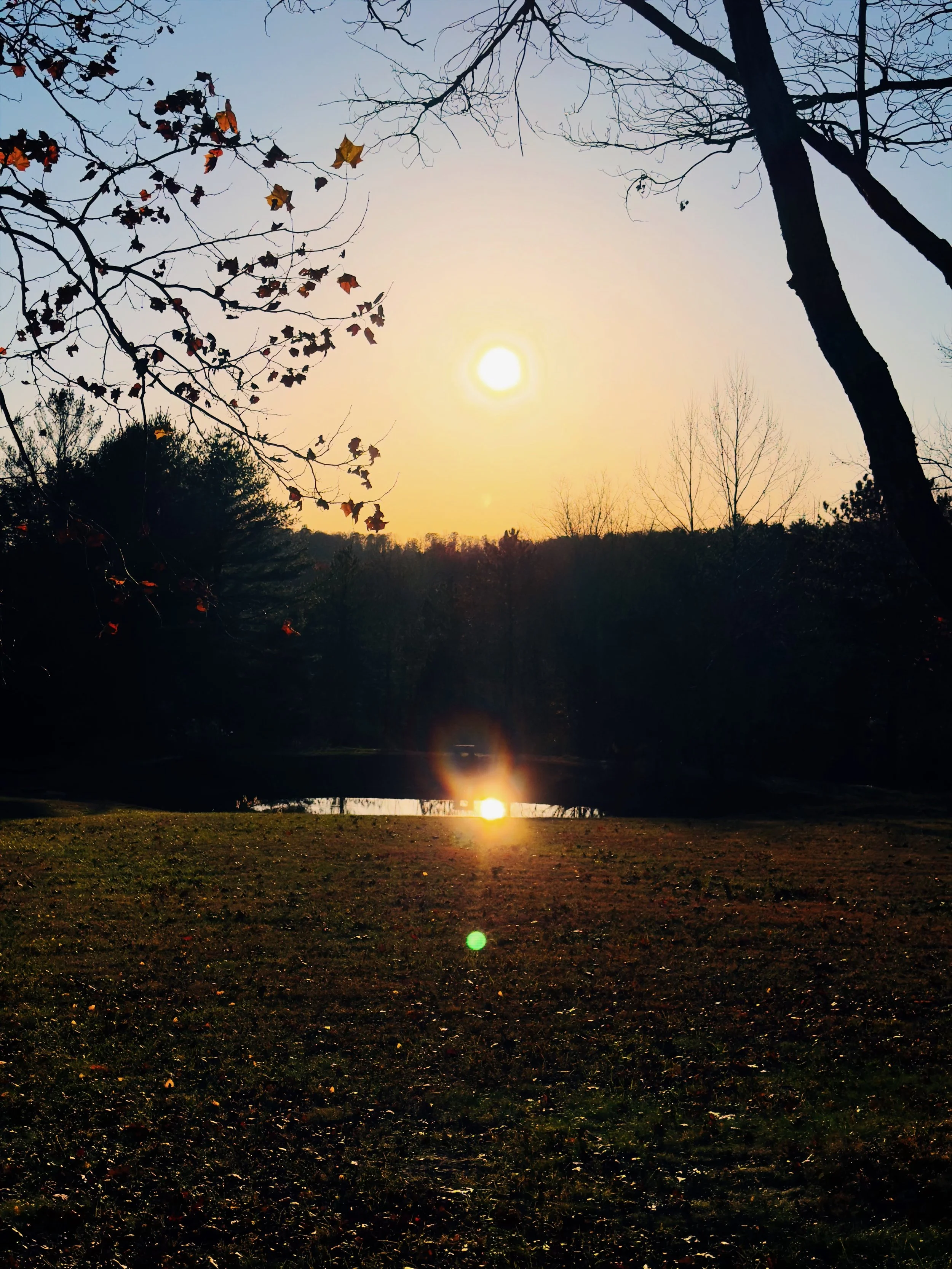 Sun Sky Pan