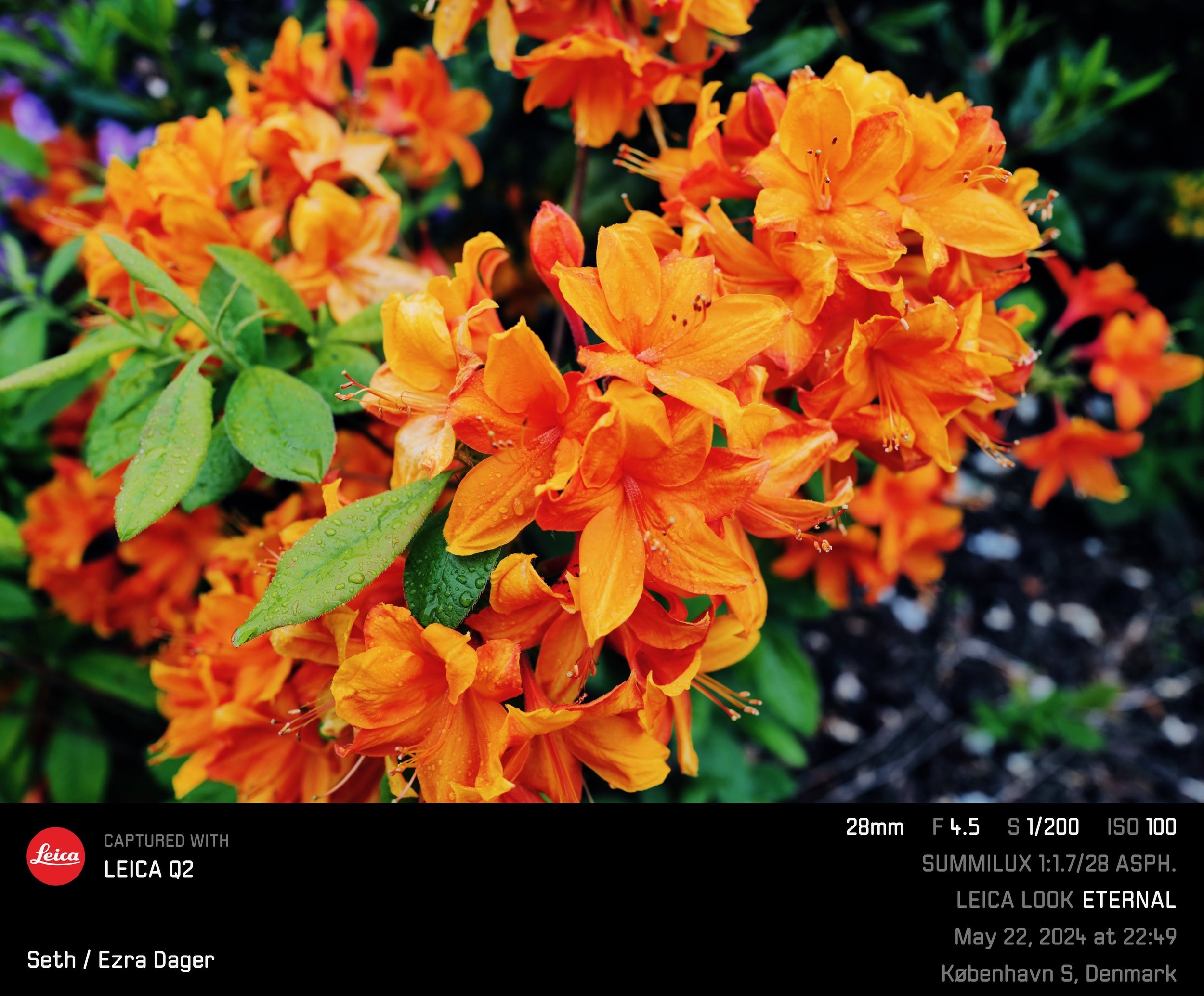 IMG_9675.jpeg