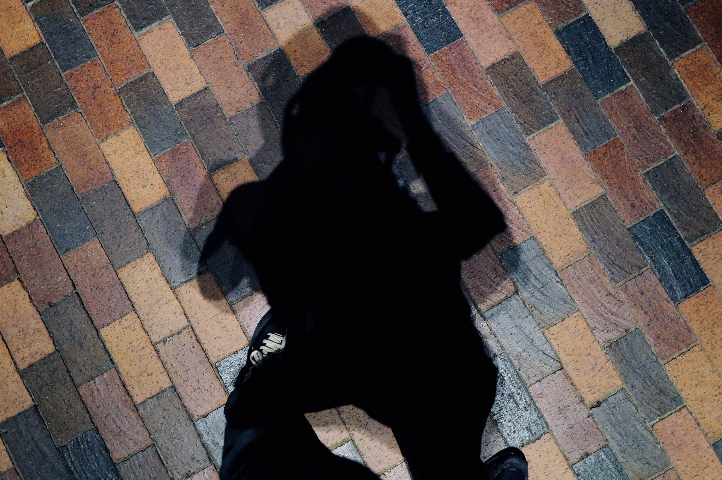 L1020211.jpg