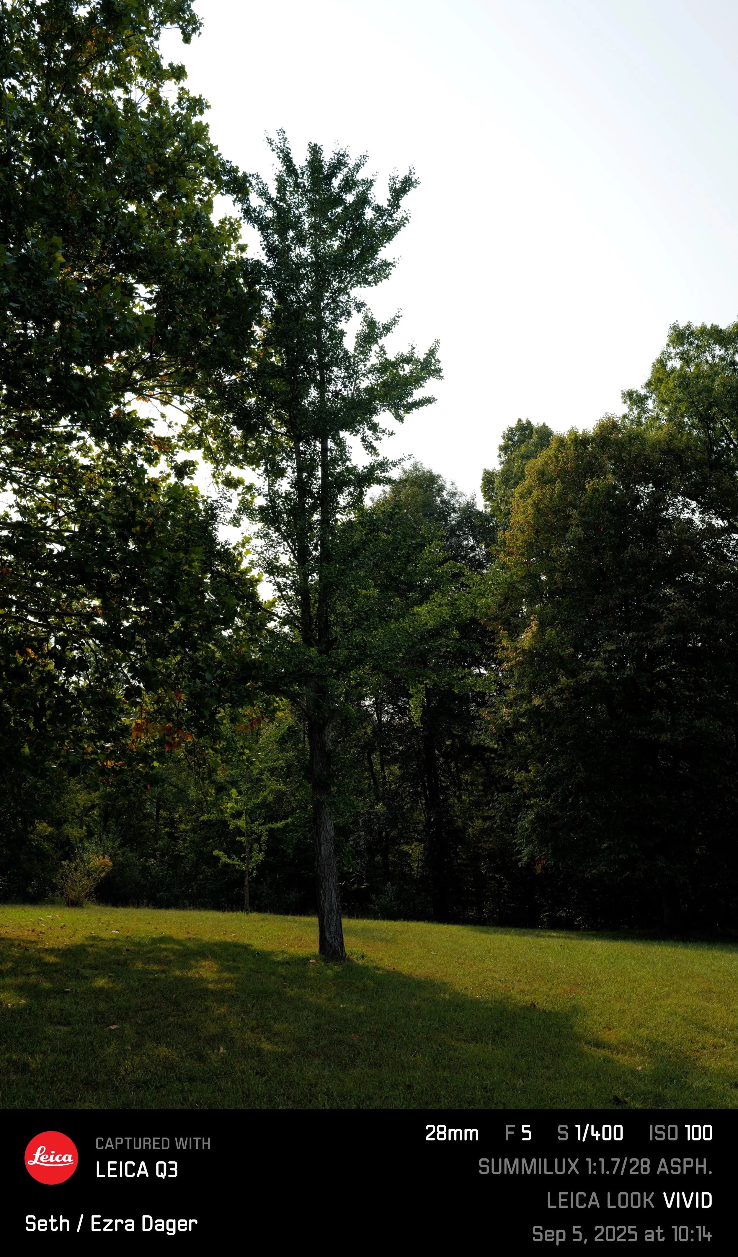 IMG_9022.jpeg