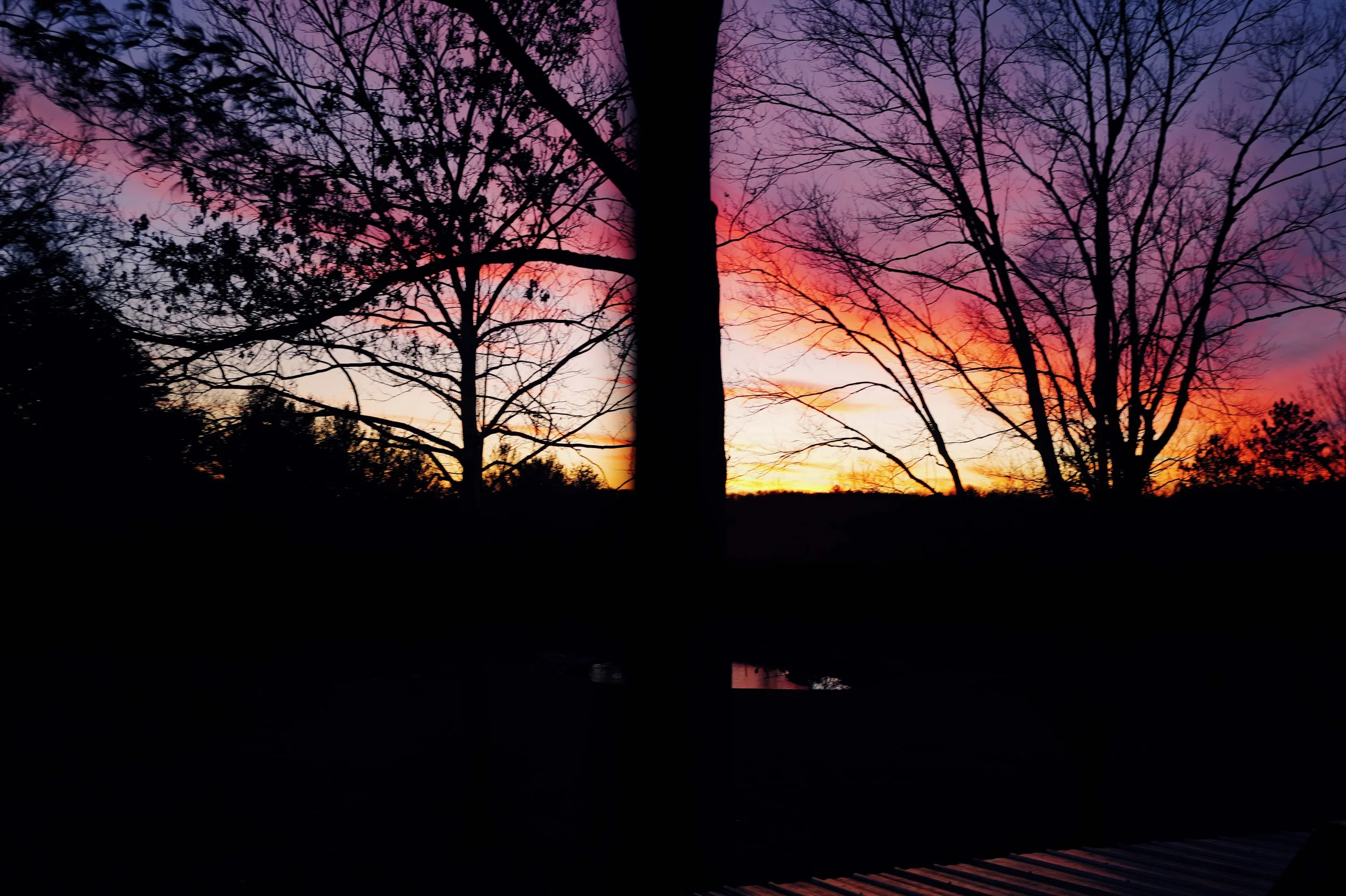L1050109.jpg