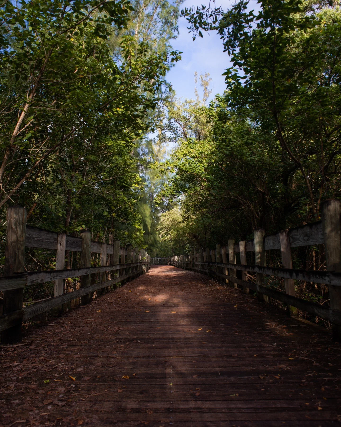 Nikon D610 vs iPhone 11
.
.
.
#puertorico #iphonephotography #forrestphotography #nikonphotography #iphonephoto #lo&iacute;za #loiza #boricua #iphoneography #nikontop #puertoricogram #iphonegraphy