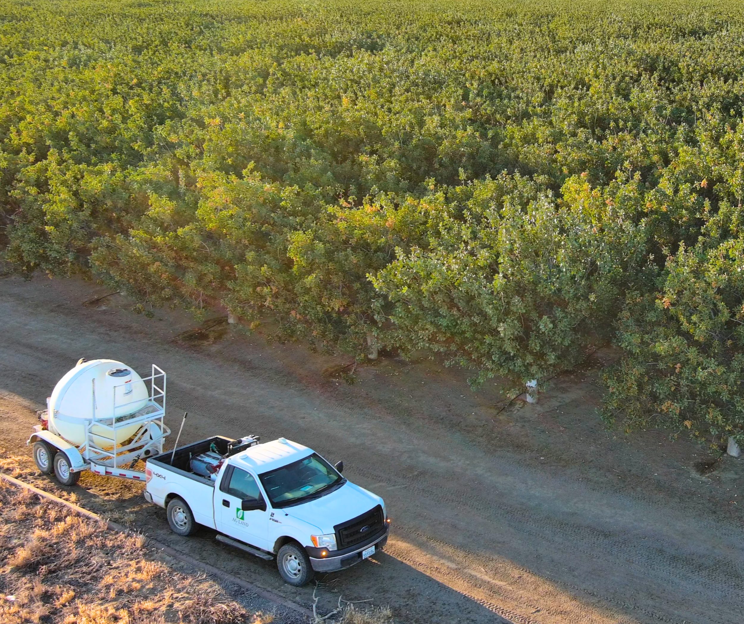Shaking Harvesting pistachios in Coalinga, CA
