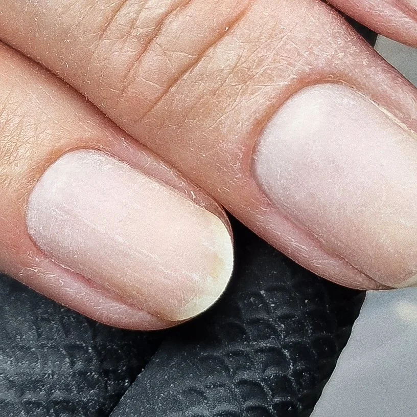 “Why Does My Prep Take So Long?!”…