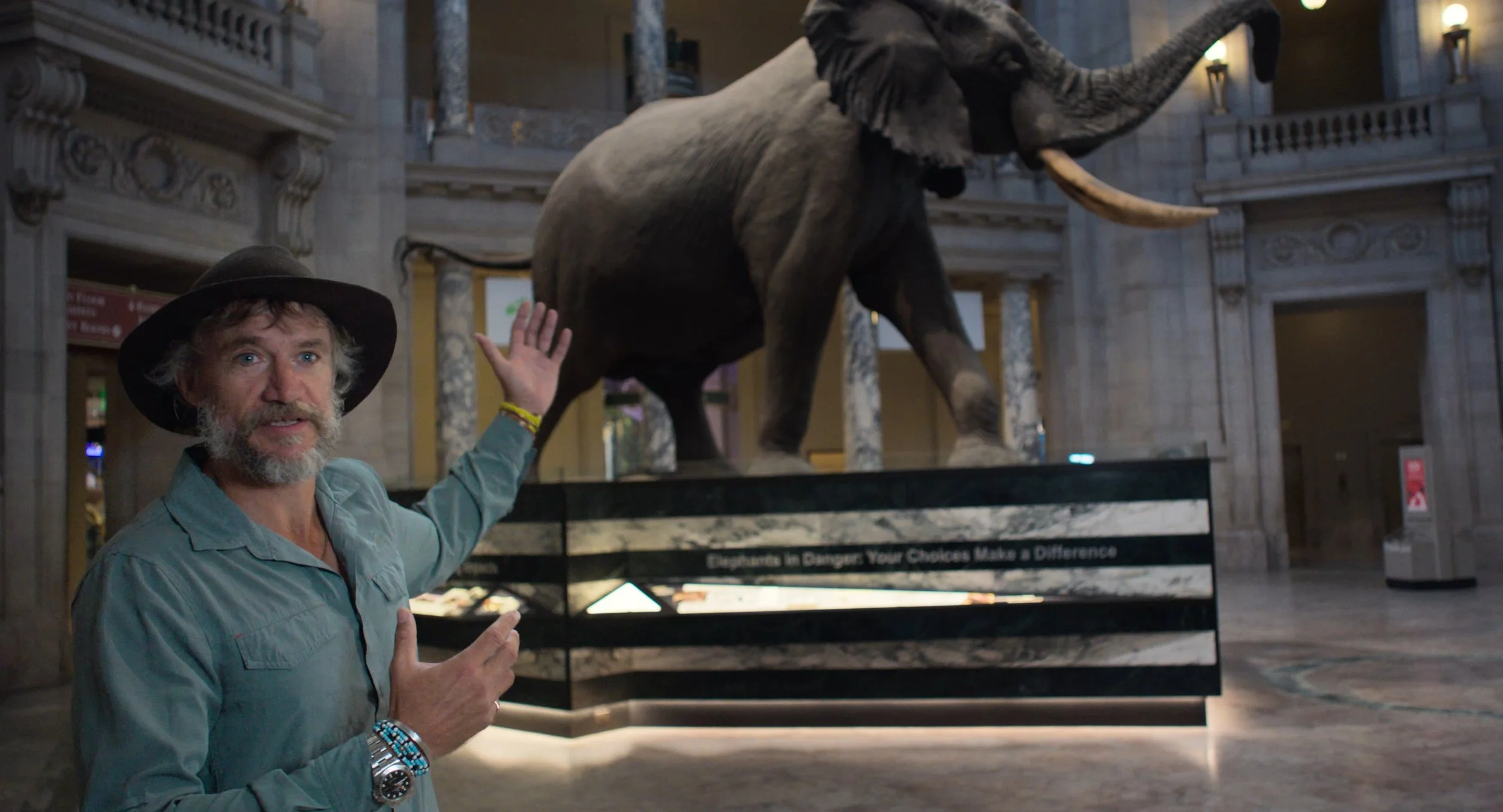 A man in a green shirt and black hat standing in front of a large elephant statue inside a museum. The man is pointing to the elephant, which has a sign that reads "Elephants in Danger: Your Choices Make a Difference." The museum has ornate architect