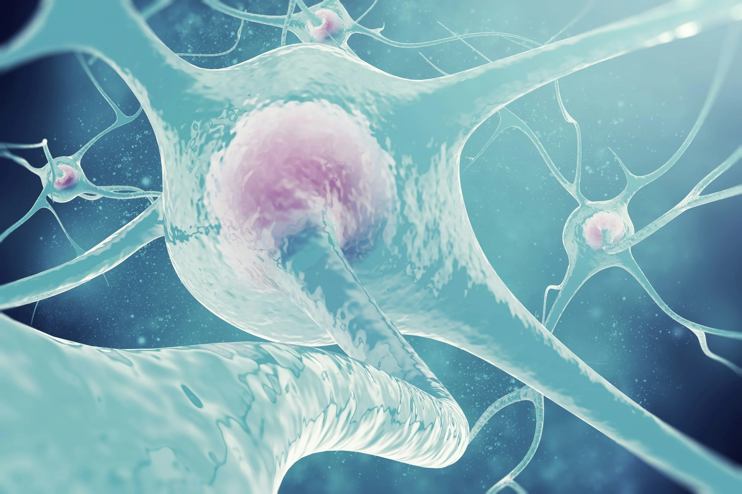 What It Means To “Reset Your Nervous System”