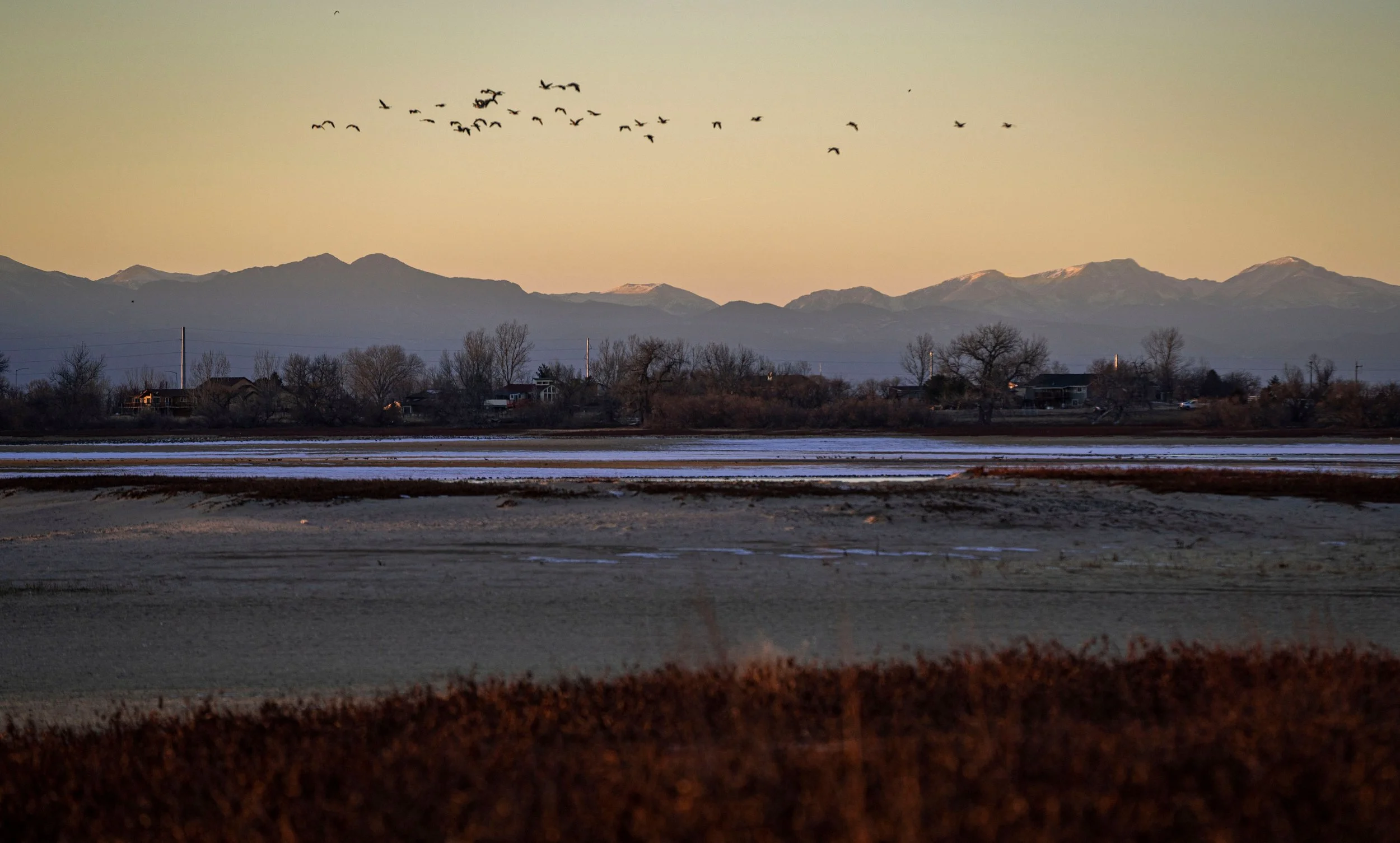 A landscape scene featuring a distant mountain range, a small town with houses and trees, frozen water, and a flock of birds flying in the sky during dusk or dawn.