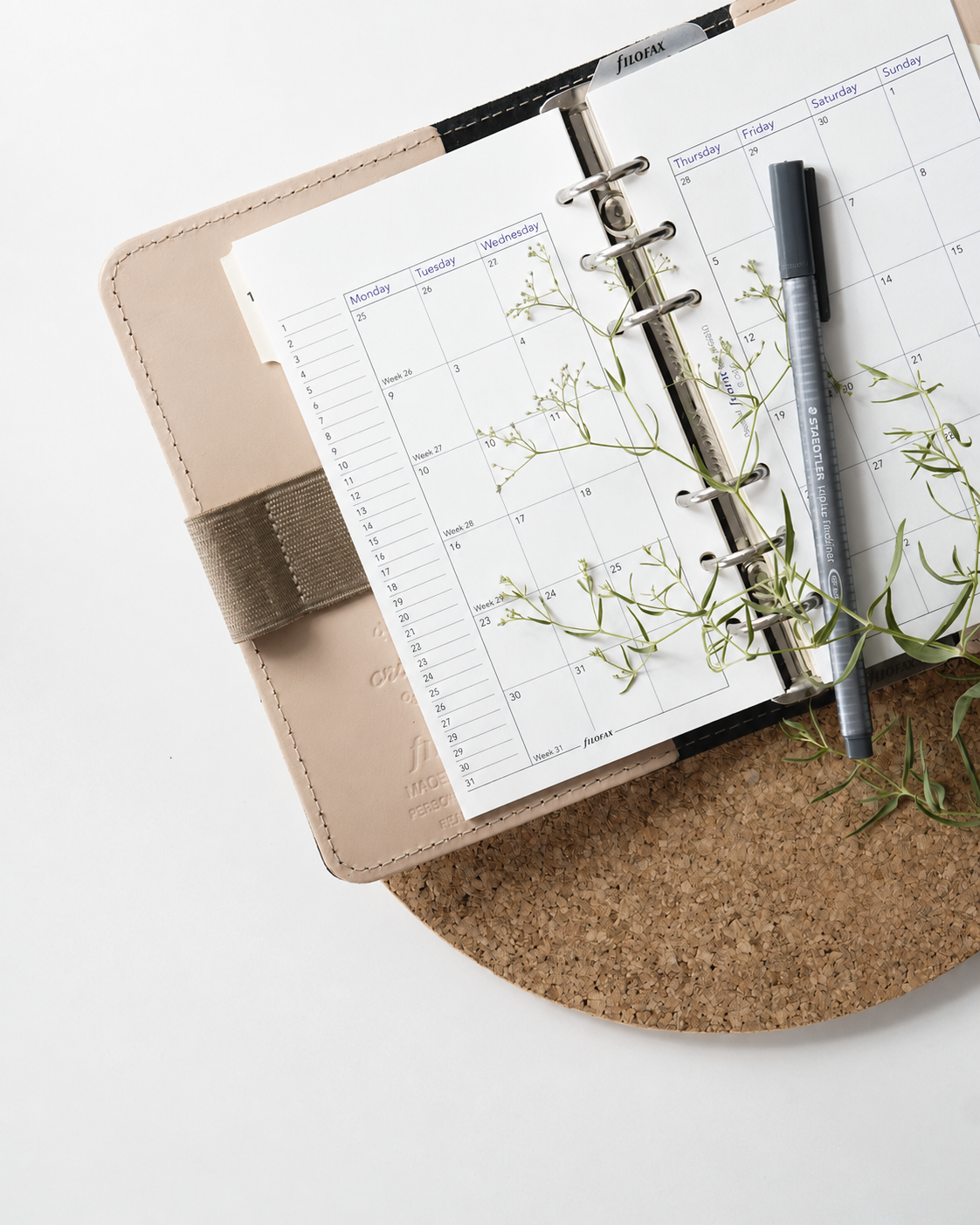Open monthly planner with a black pen and green plant on a cork surface.