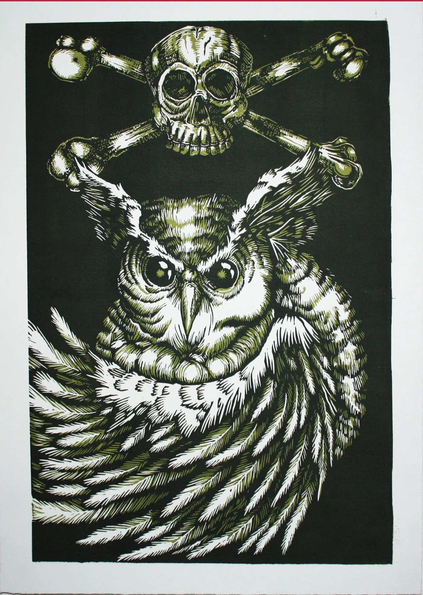 A black and white illustration of an owl wrapped in a shawl, with a skull and crossbones above it.