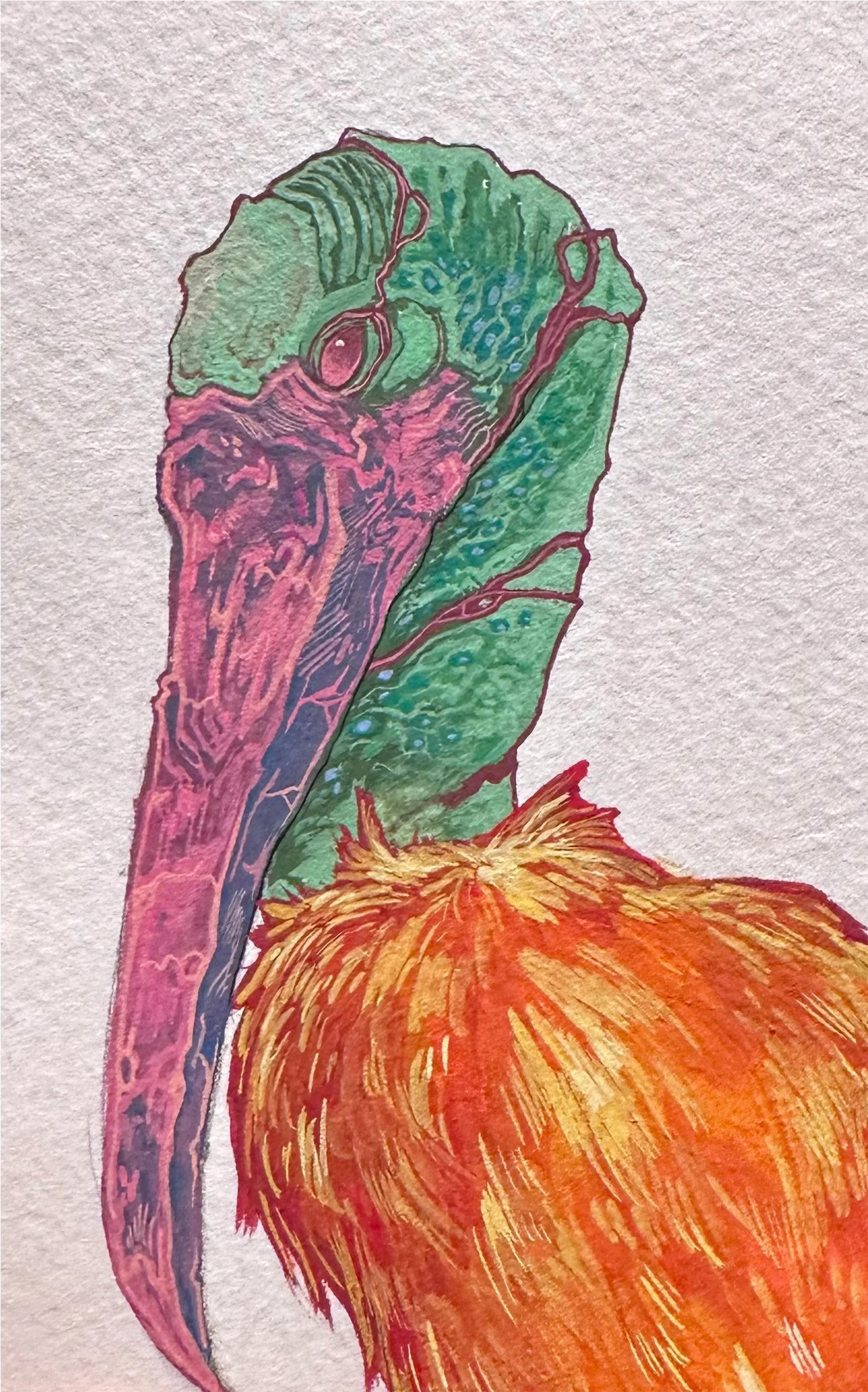 Colorful illustration of a bird's head with distinctive beak and ruffled orange feathers, drawn in a vibrant artistic style.
