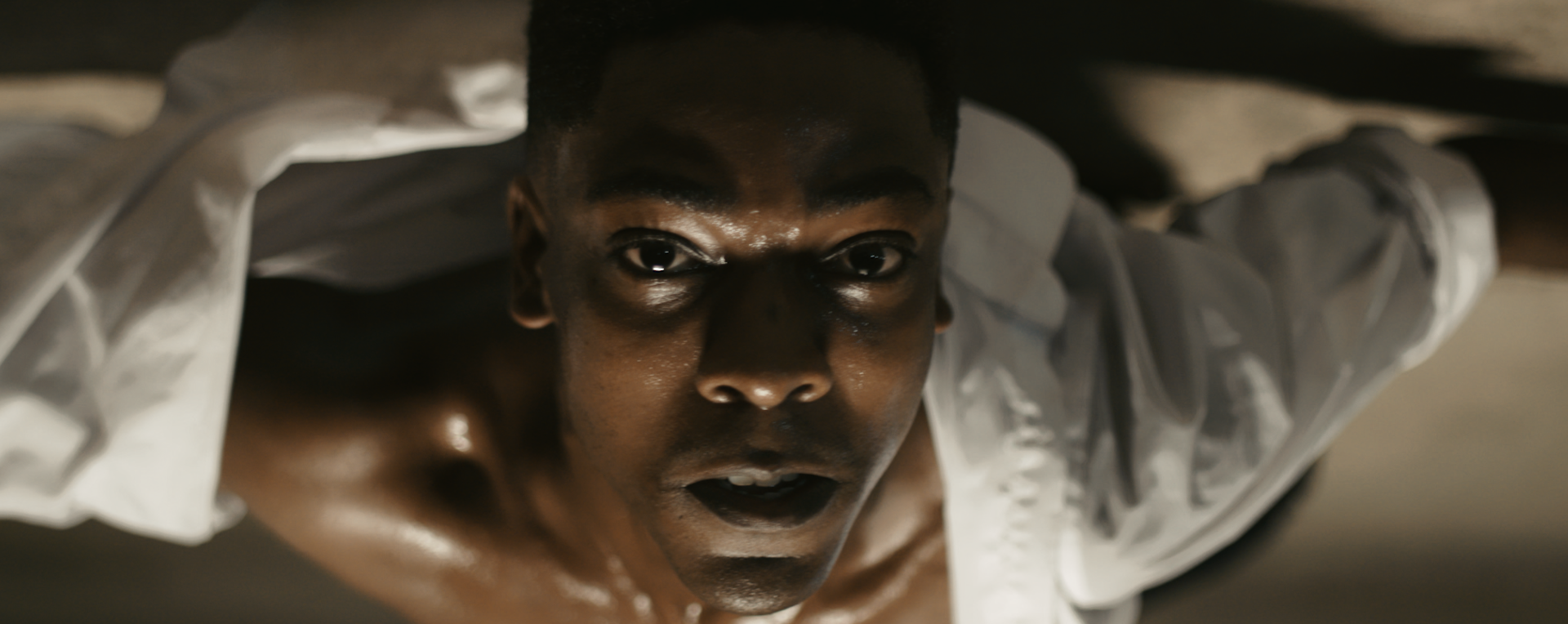 LEVI_S _Never Stop Searching_-319412835.00_03_45_06.Still031.png