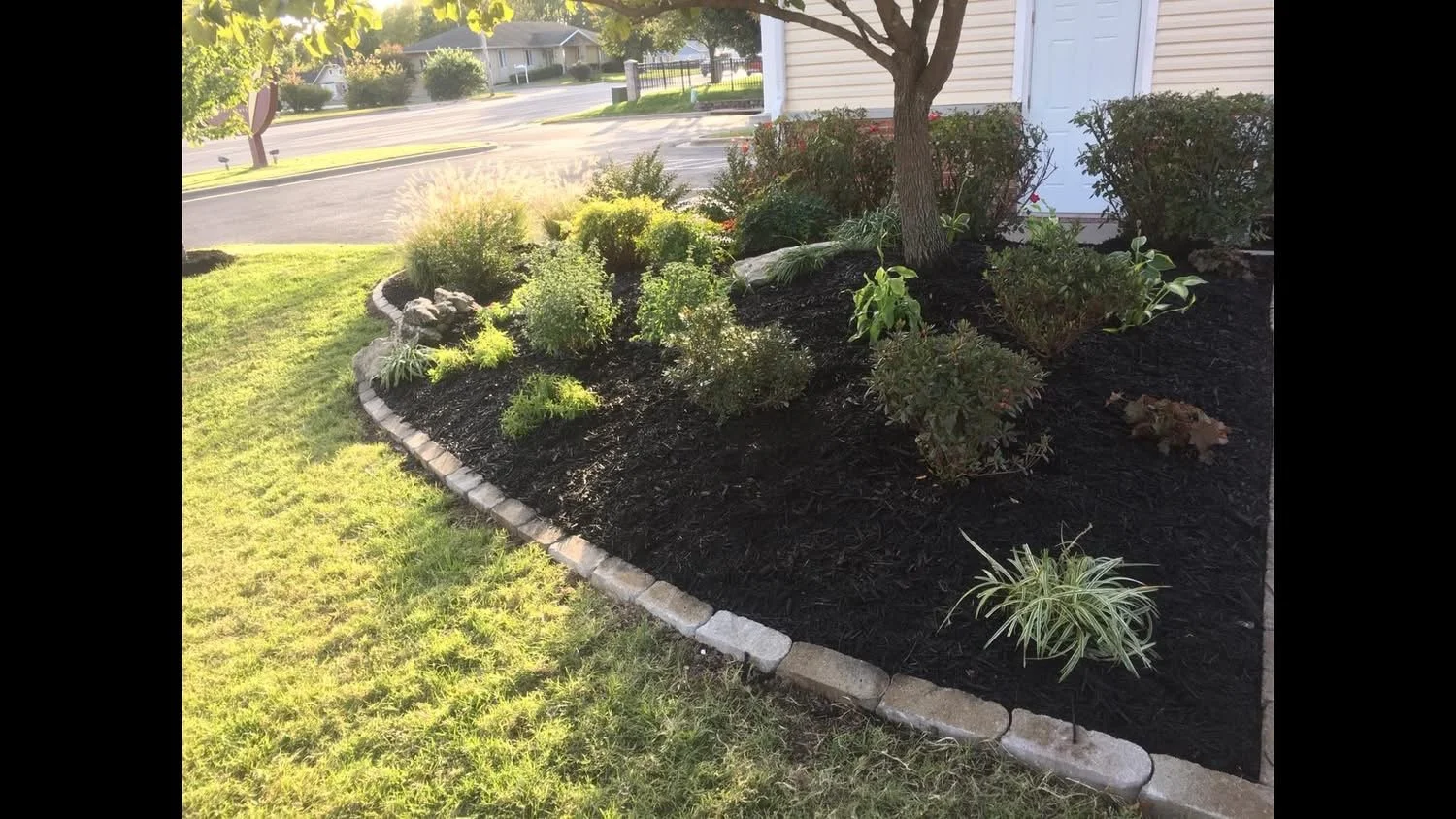 A landscaped garden bed with various green plants and a small tree, bordered by gray bricks, outside a house.
