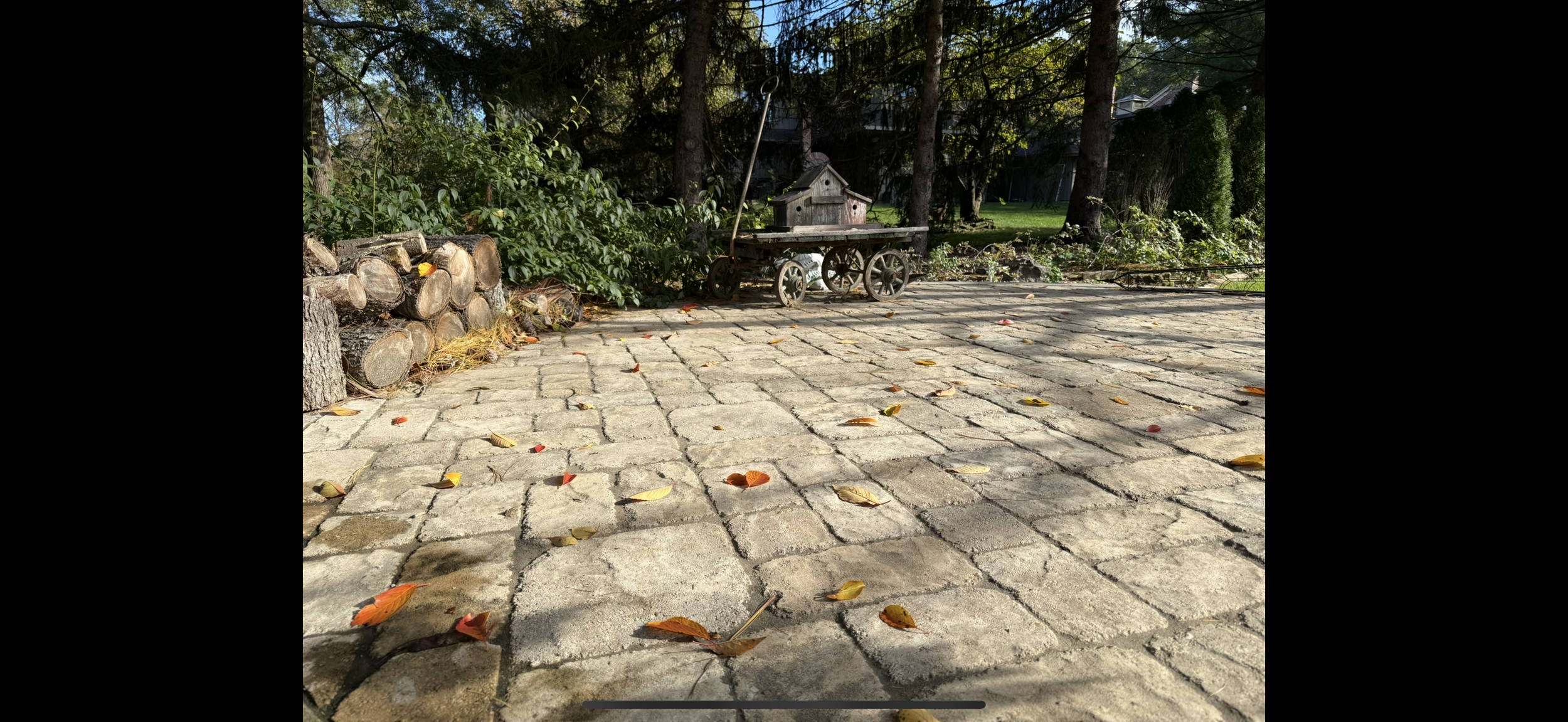 Sunlit cobblestone patio with scattered dry leaves, a small pile of cut logs on the left, and a vintage wooden cart with a birdhouse on top in the background surrounded by trees and greenery.