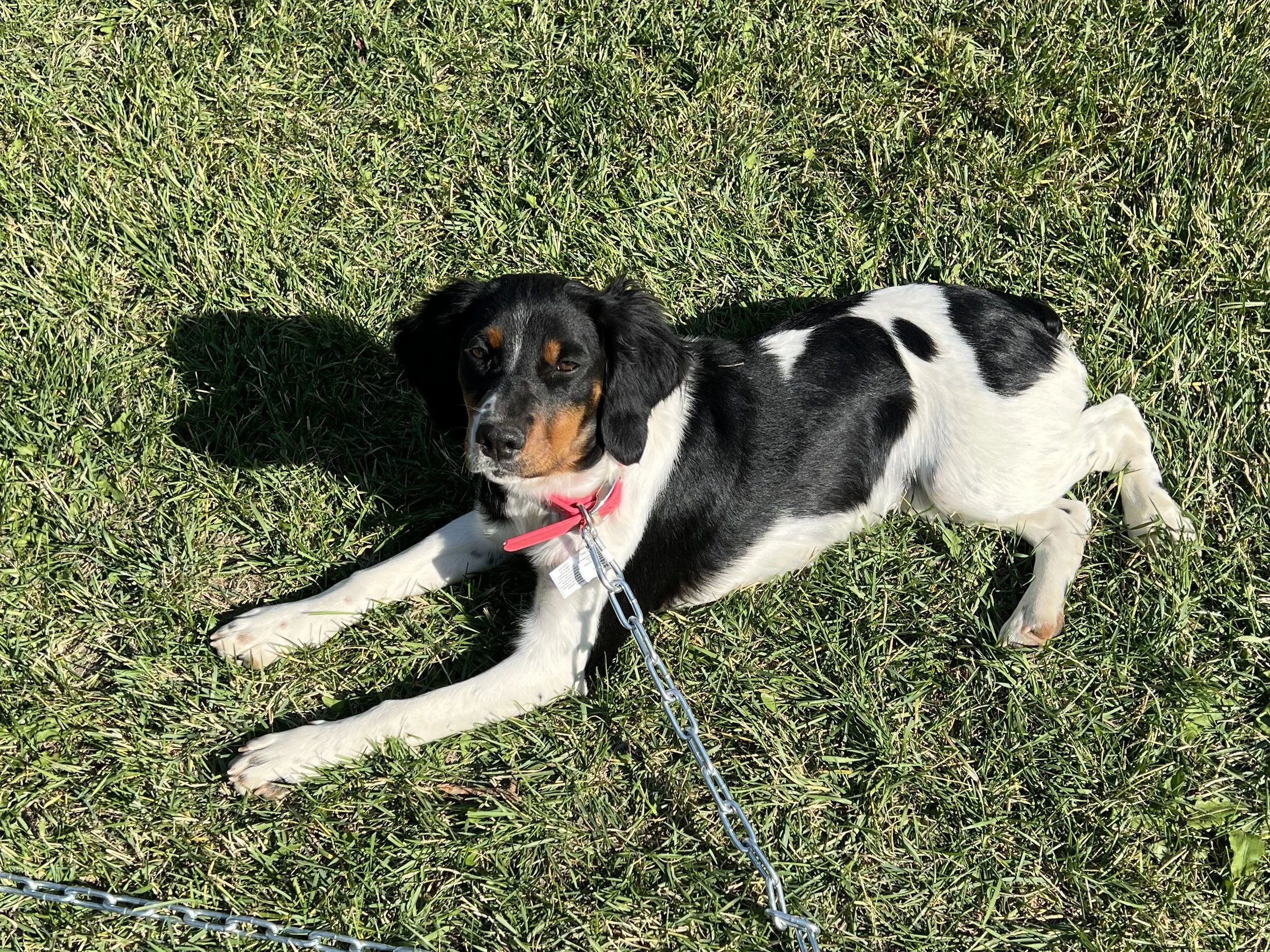 FullSizeRender-preview 2.JPG