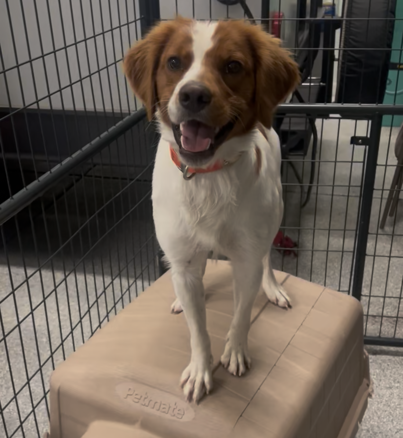 Screenshot 2026-01-31 at 8.40.37 AM.png