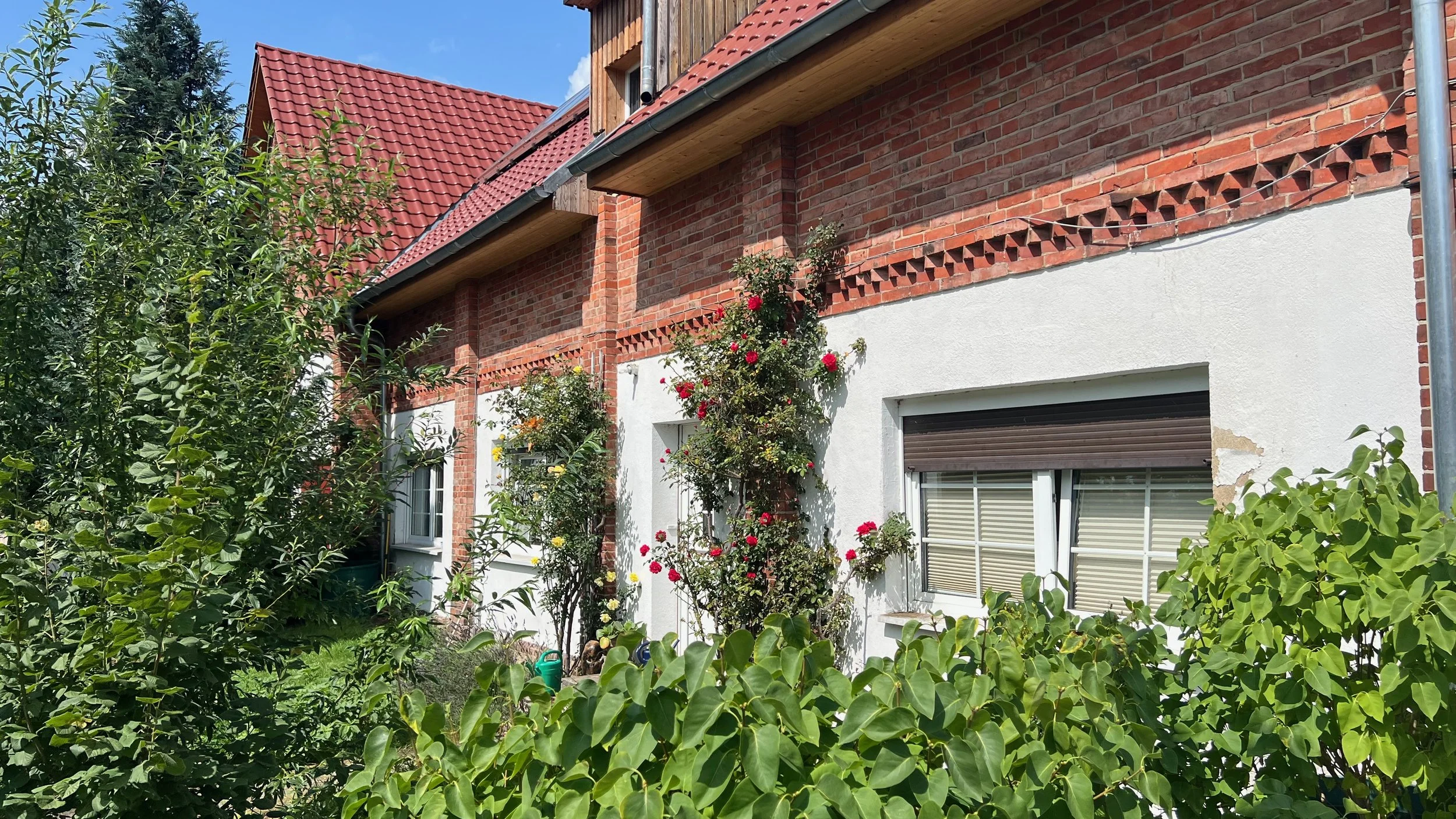 vorgartenansicht_IMG_0623.jpeg