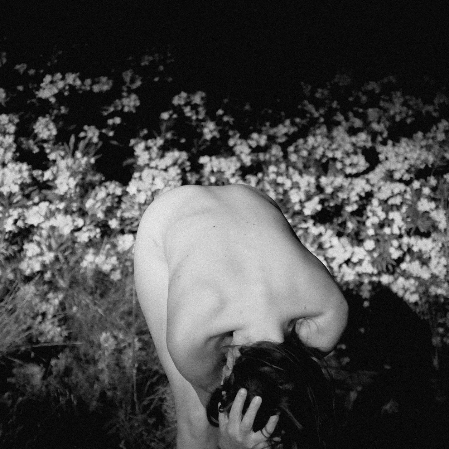 finding the answers in silence and in nature ♾️

𝘪𝘯 𝘧𝘭𝘰𝘸𝘦𝘳𝘴, self portrait

words inspired by @bluofearth substack that I read yesterday and can&rsquo;t stop thinking about

print available via my website