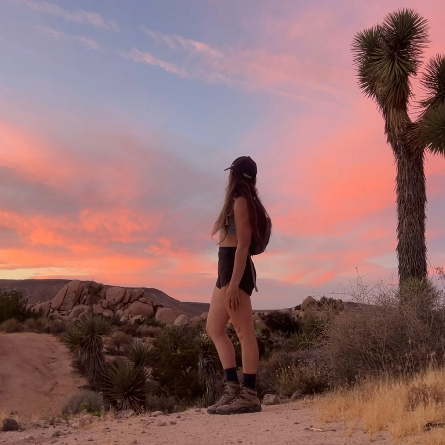 I just launched a YouTube!

It got too hot and too snaky to host hike club this summer, so I had an idea: what if I could bring my experiences in nature to everyone, not just locals in Joshua Tree, but the whole world, via the interwebs 😎 So one day