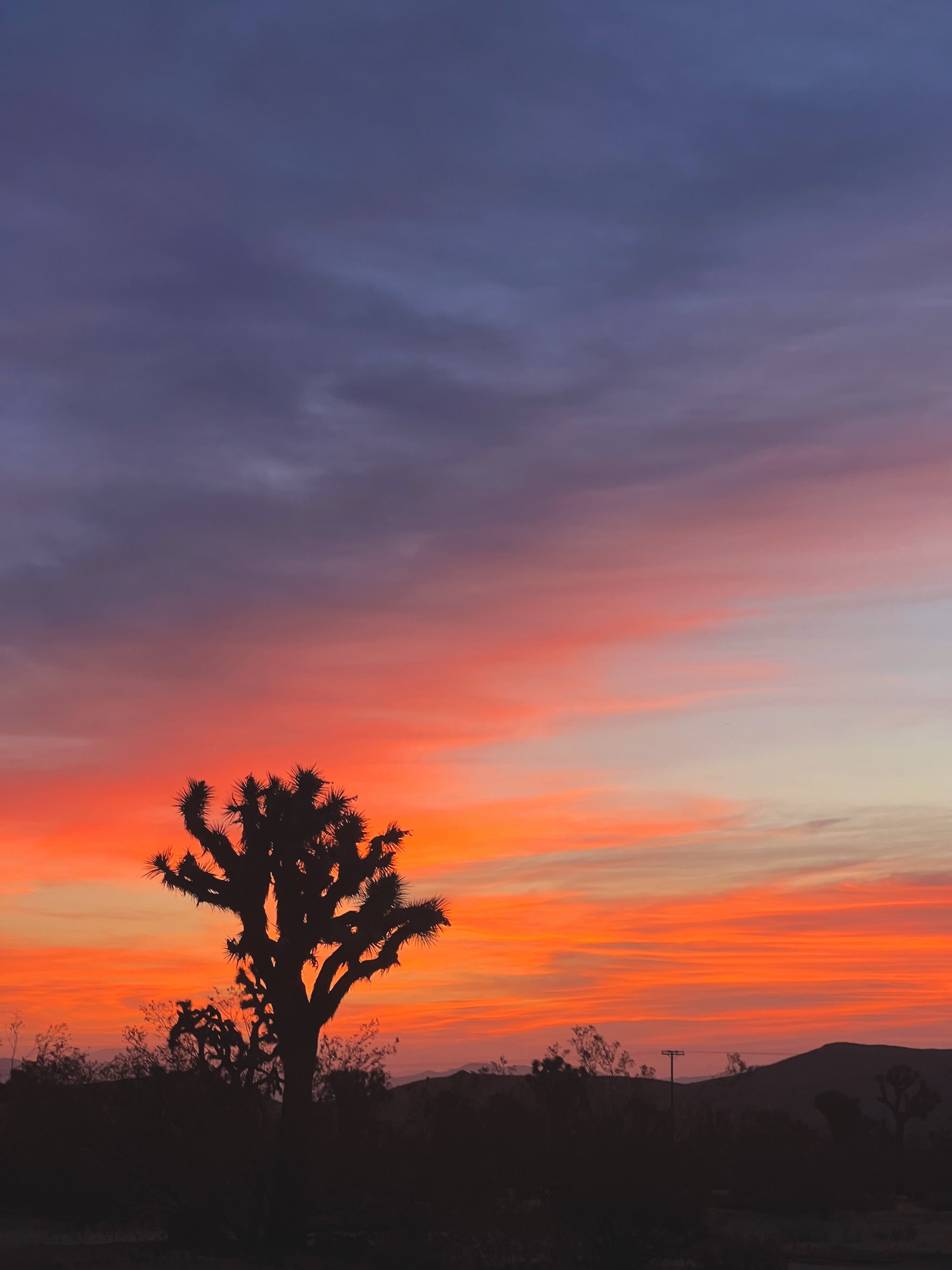 feed cleanse: this morning&rsquo;s sunrise

5:55am 
joshua tree