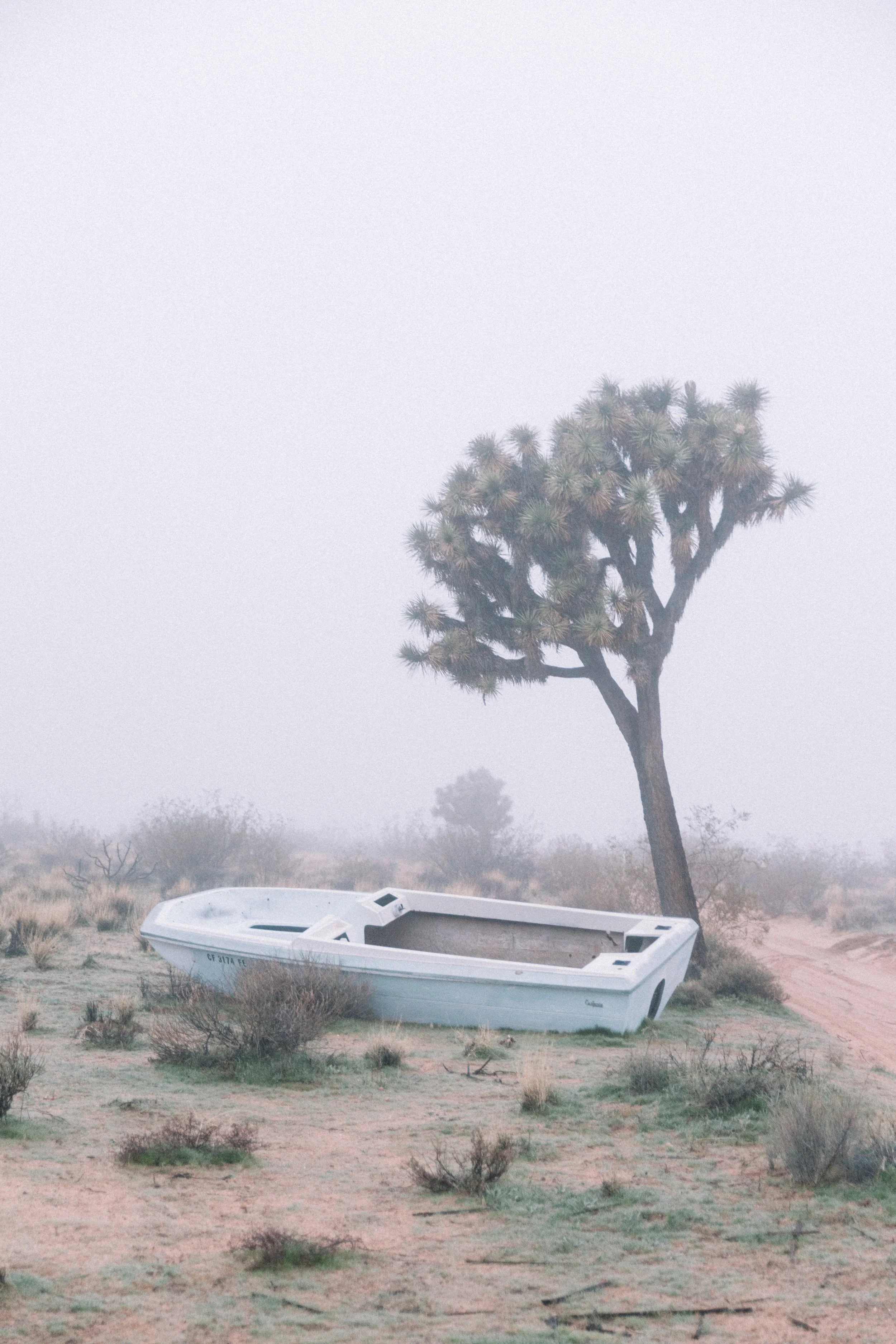 Dreamscape