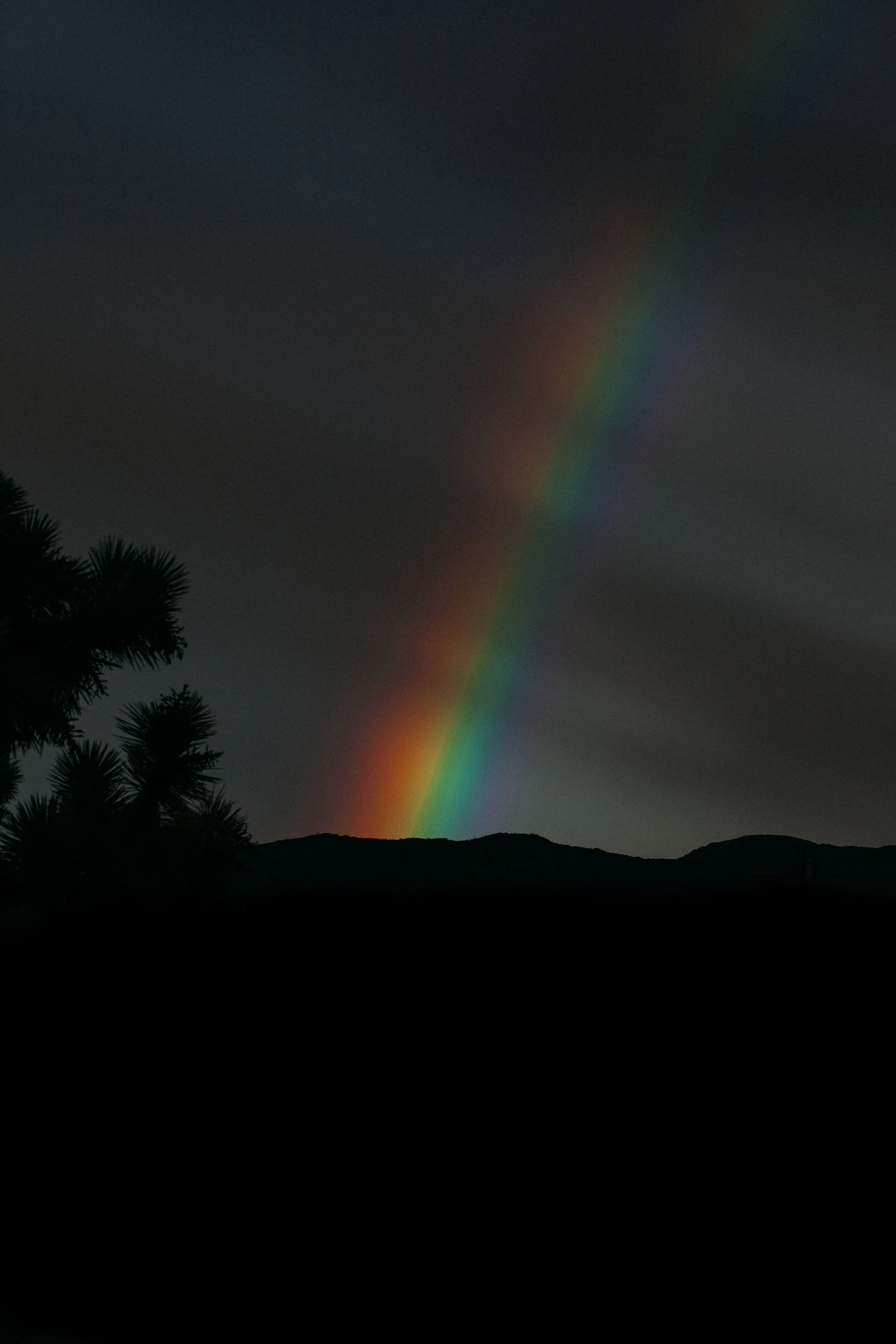 Prism