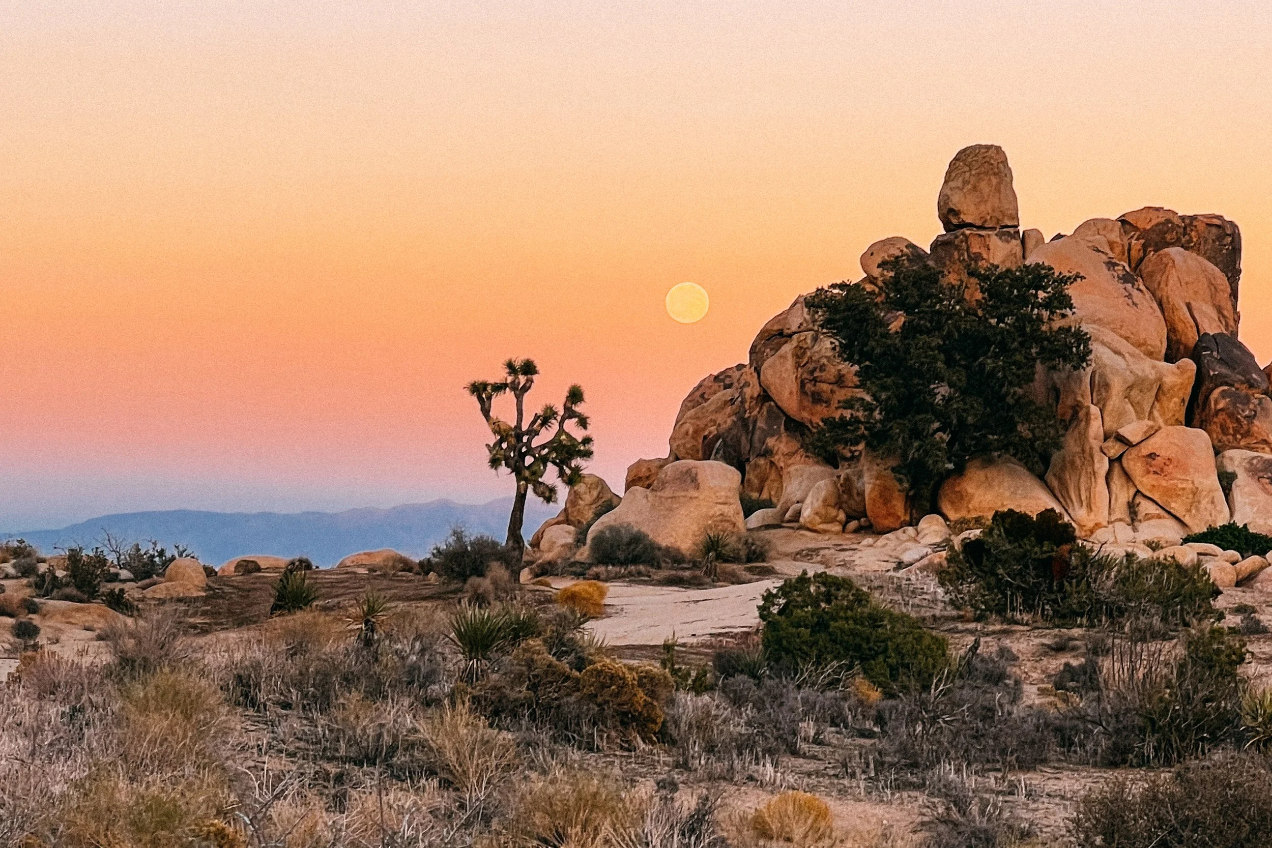 Moonrise_small copy 2.jpg