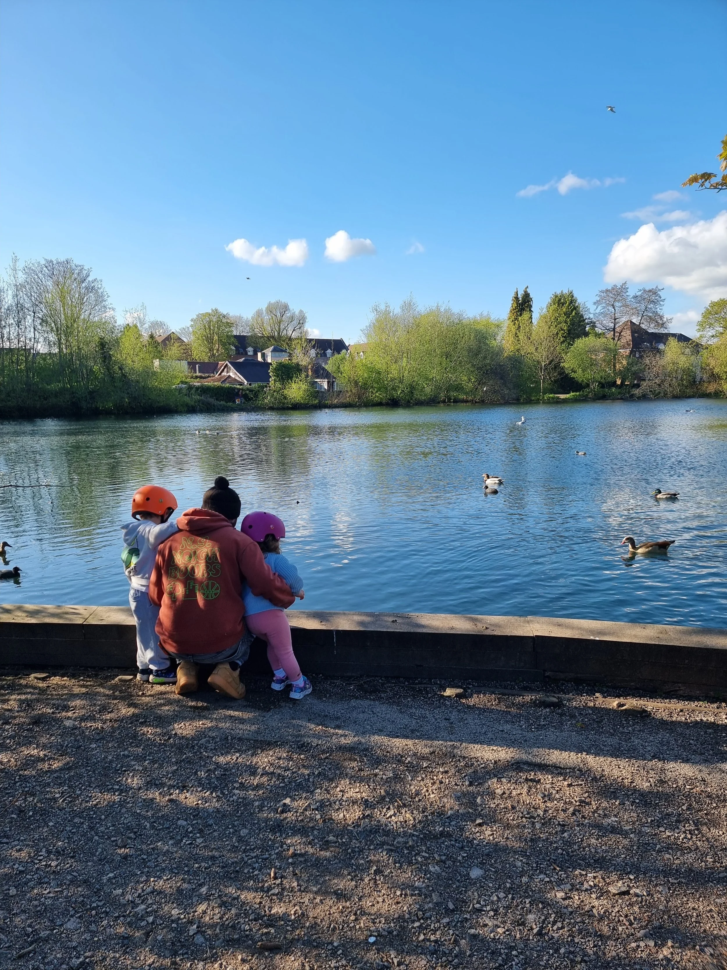 alton family walk pond ducks