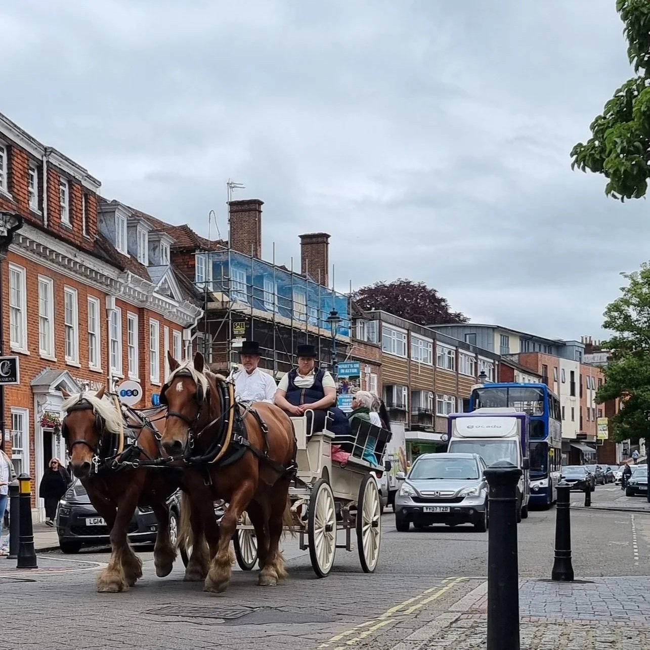 alton regency day high street