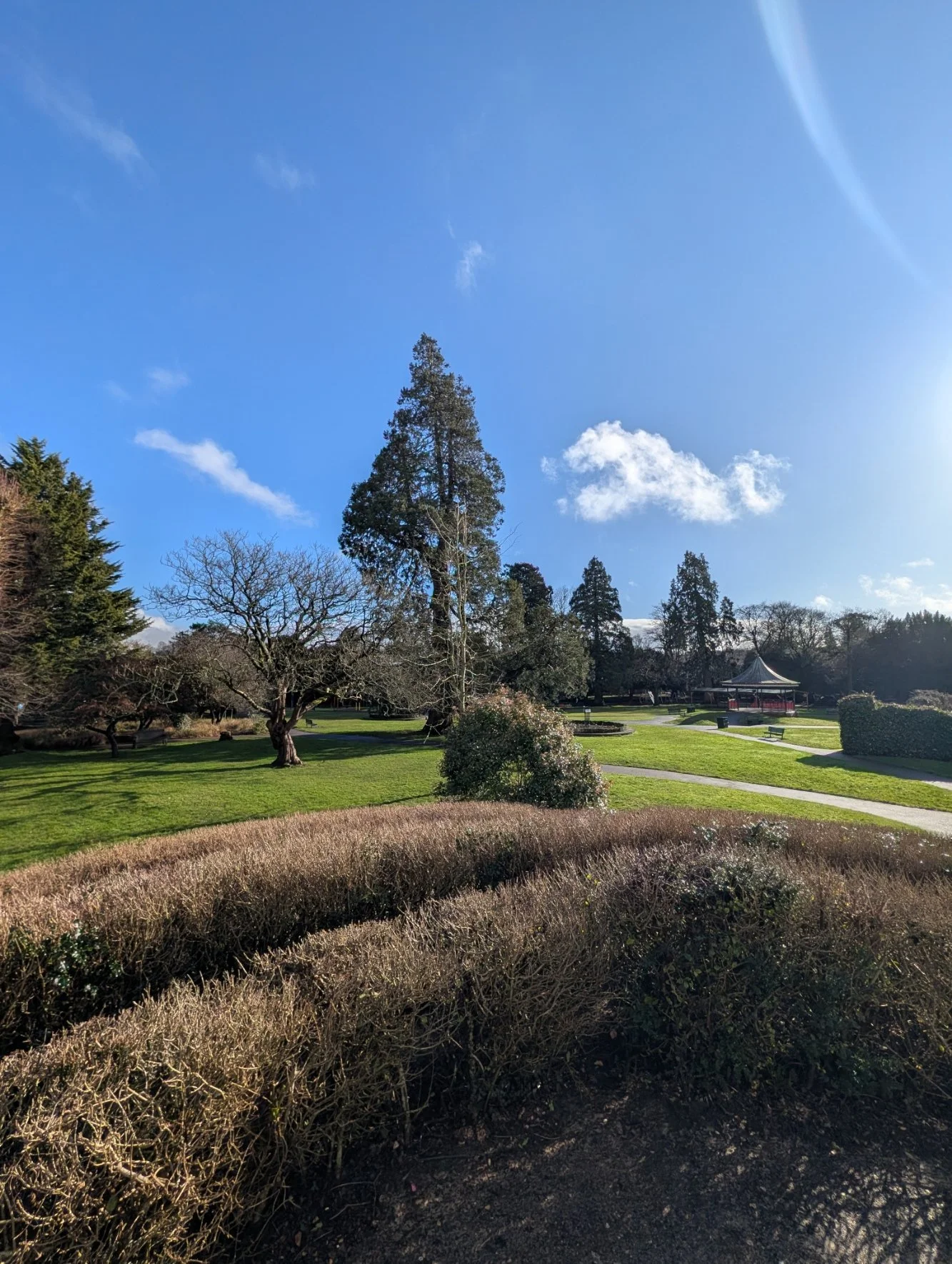 A park with well-manicured grass, several leafless trees, a gazebo, and a clear blue sky with a few clouds and bright sunlight.