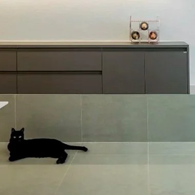 The Black Cat Apartment