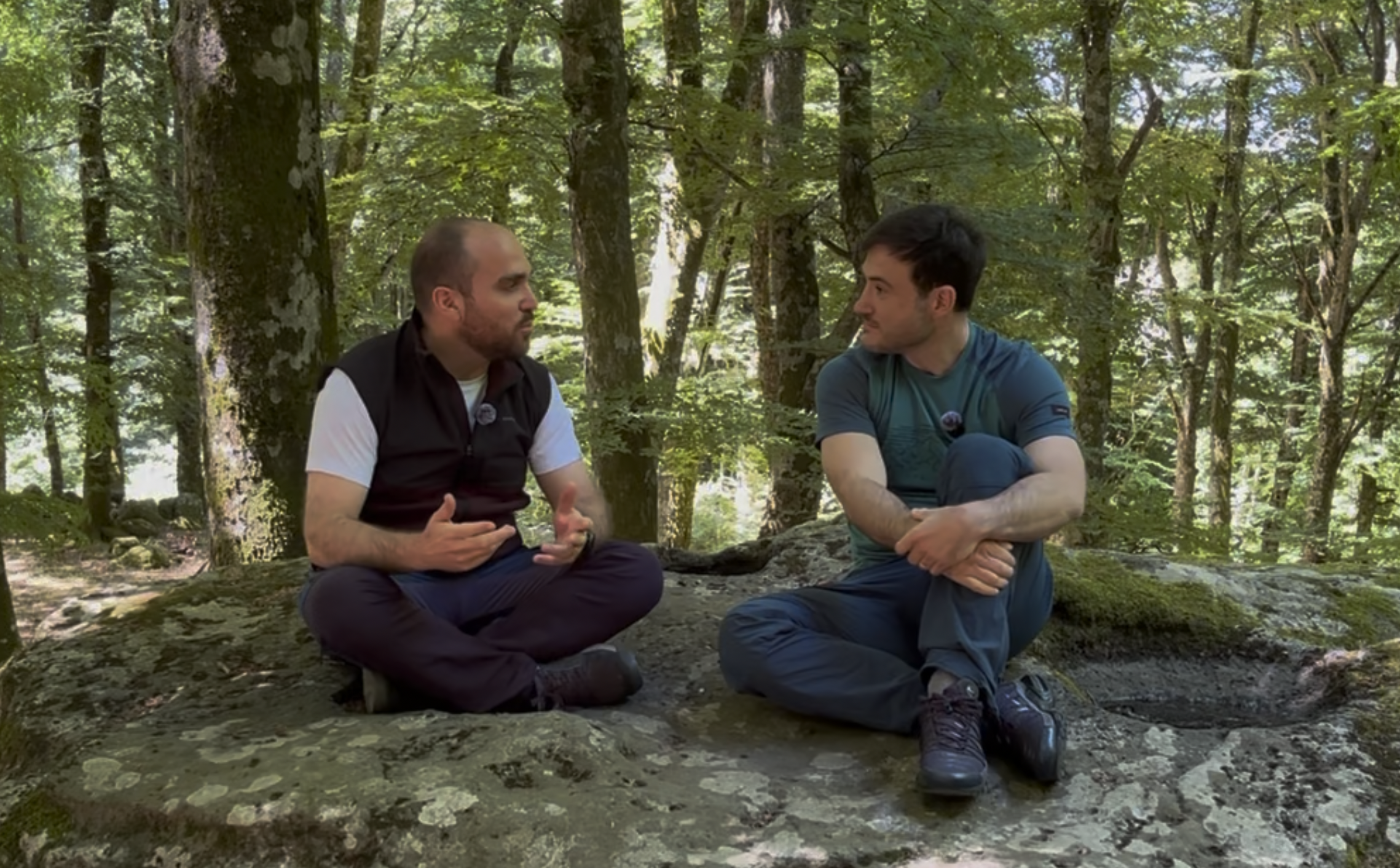 Terapia forestale nella faggeta del Monte Cimino: "una riscoperta dei singoli sensi"