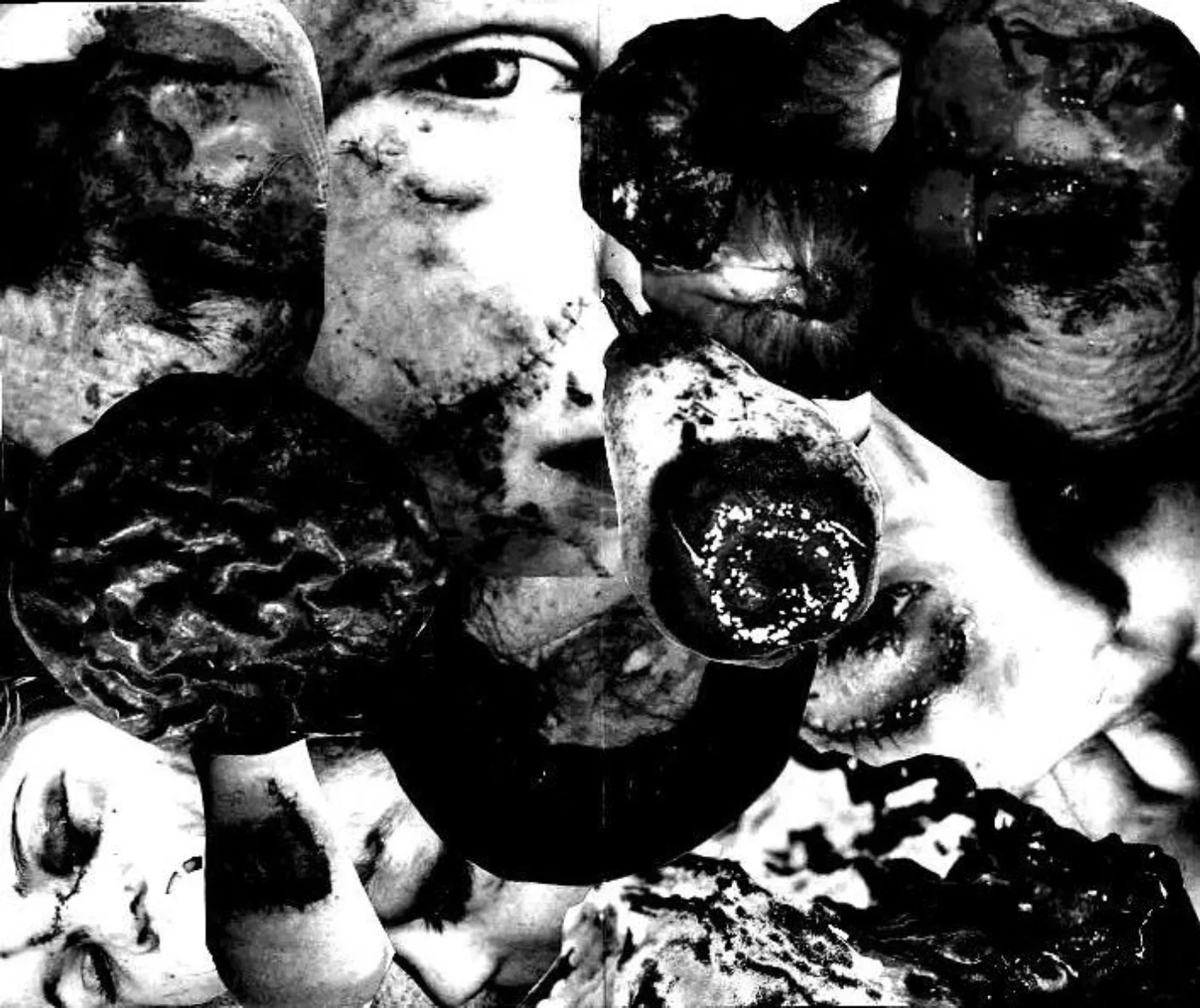 Bruised Fruit and Children