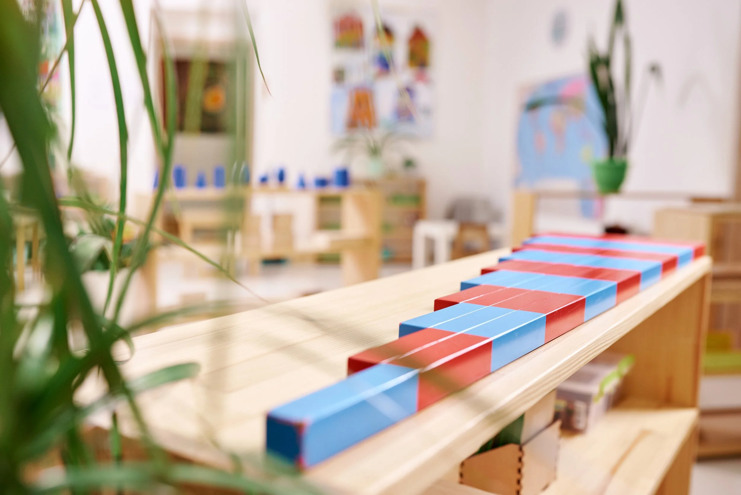 A wooden balance beam with alternating red and blue rectangles on top, situated in a brightly decorated room with plants and colorful classroom decor.