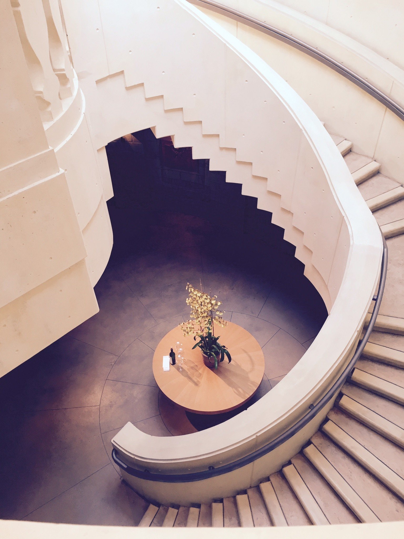 An indoor staircase with beige handrails and steps, leading down to a circular floor with a wooden table holding a potted plant and decorative bottles, seen from above.