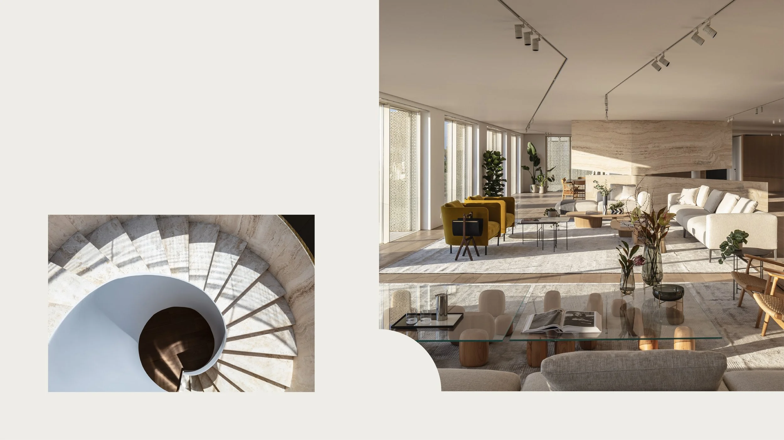 Interior view of a modern, spacious living room with large windows, contemporary furniture, and green plants.