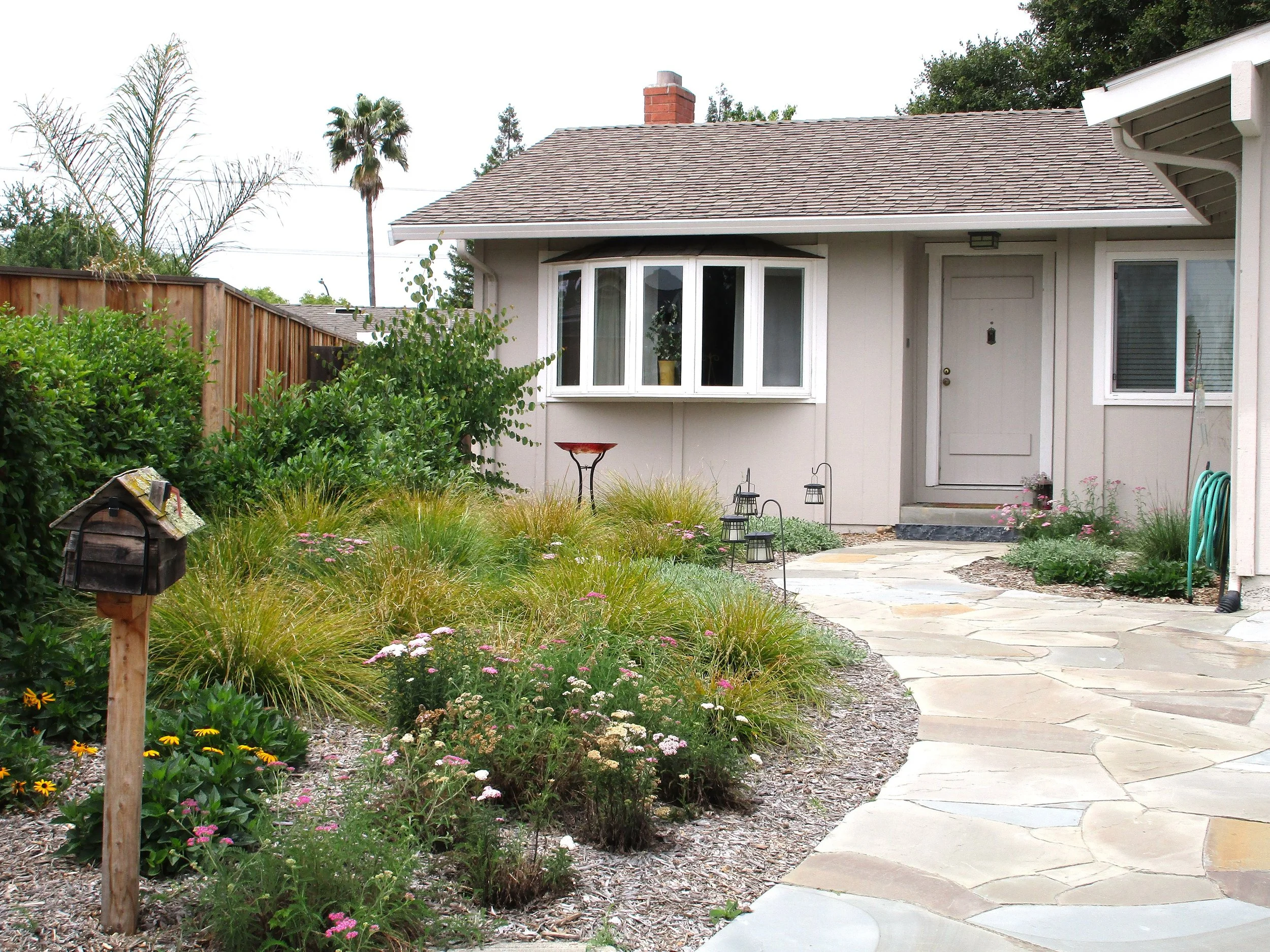 Year 3 After Planting