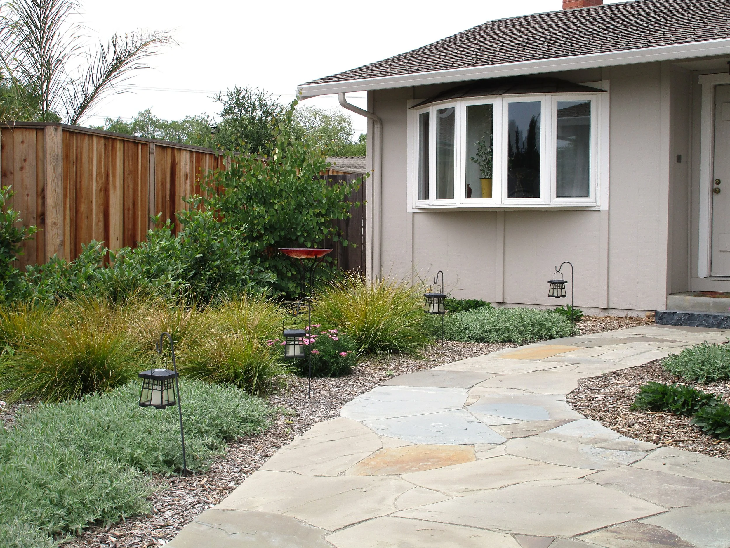 Year 2 After Planting