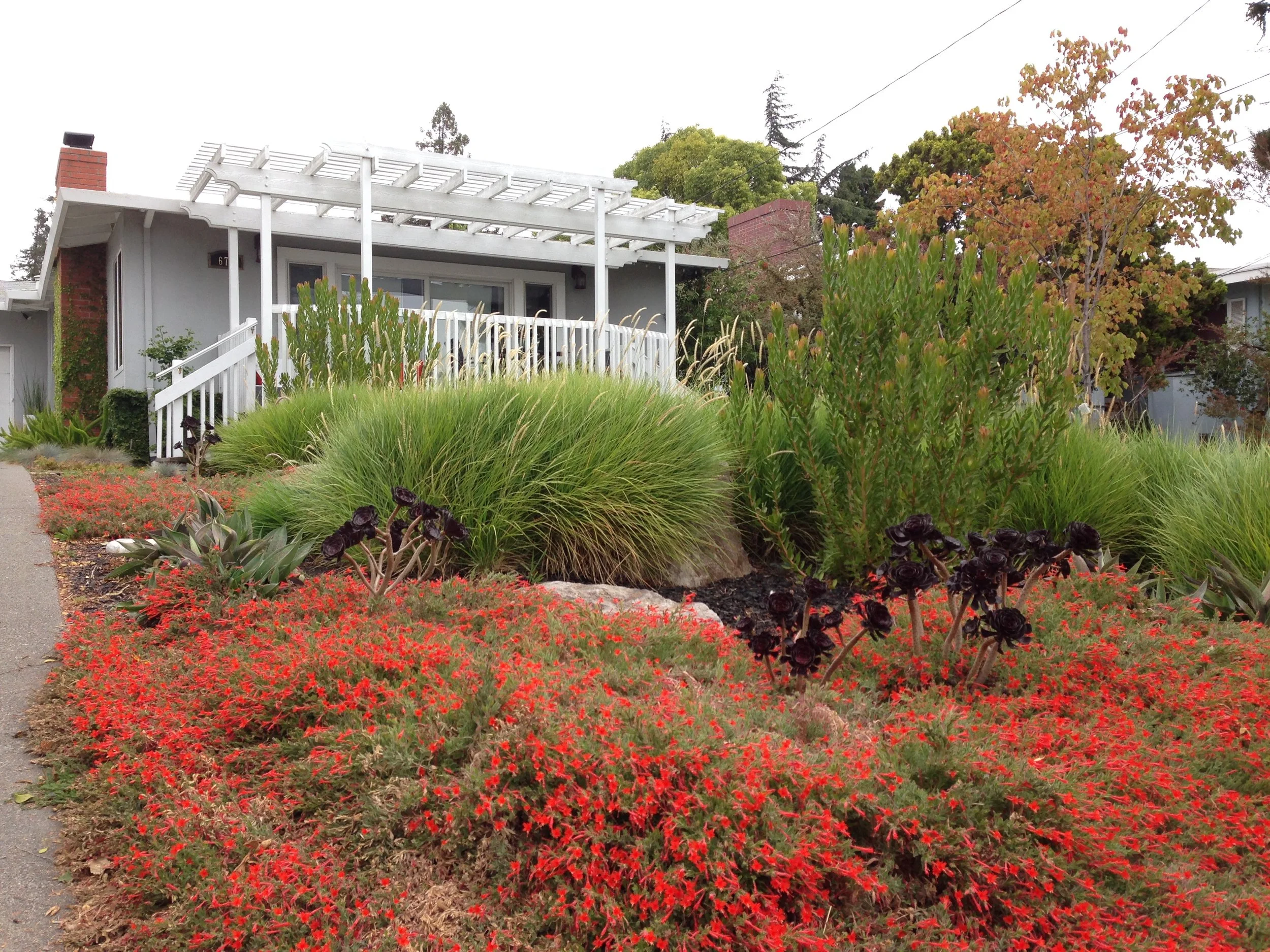 Strong lines create vivid shapes