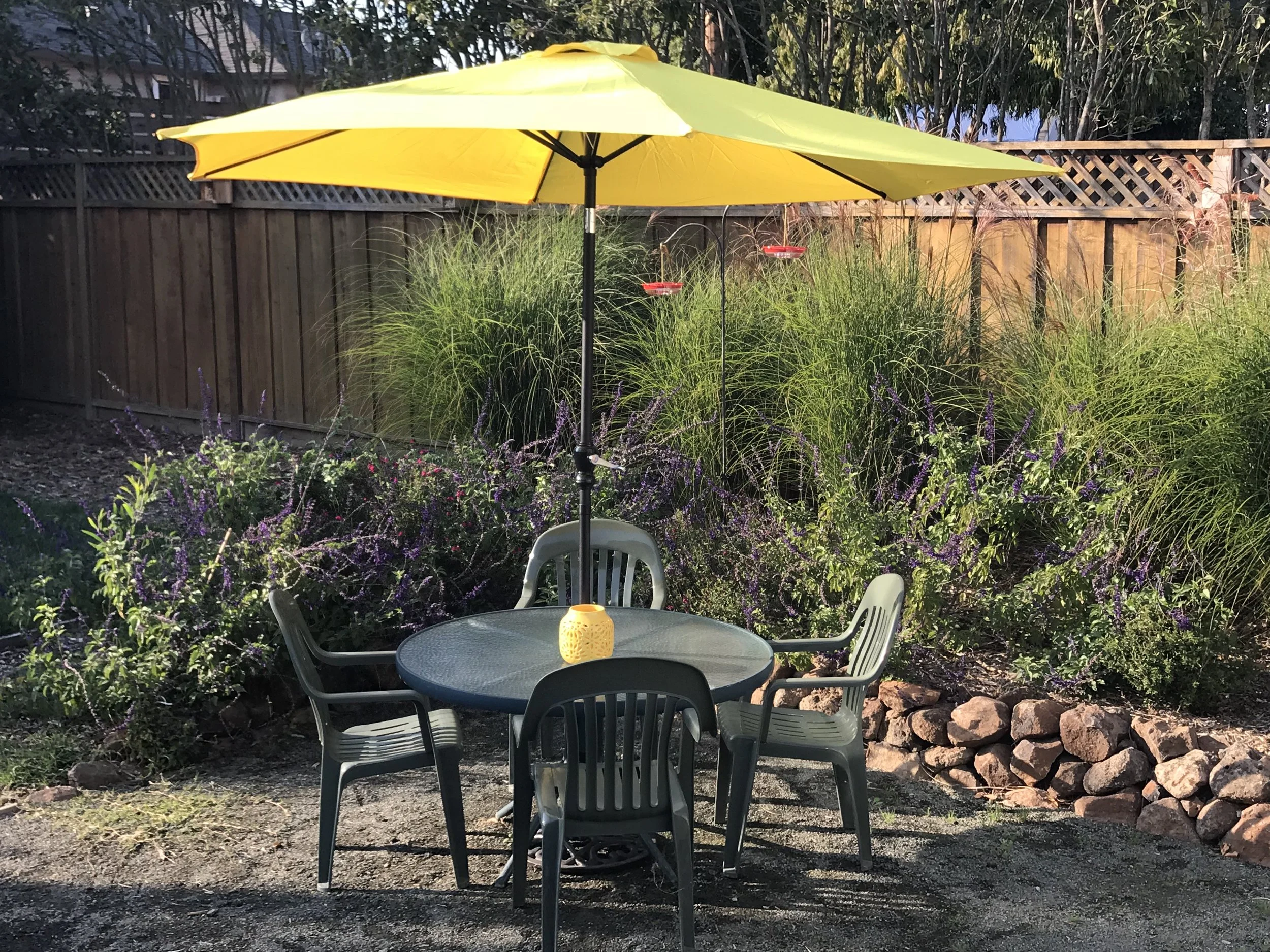 Little Moss Rock Wall.jpg