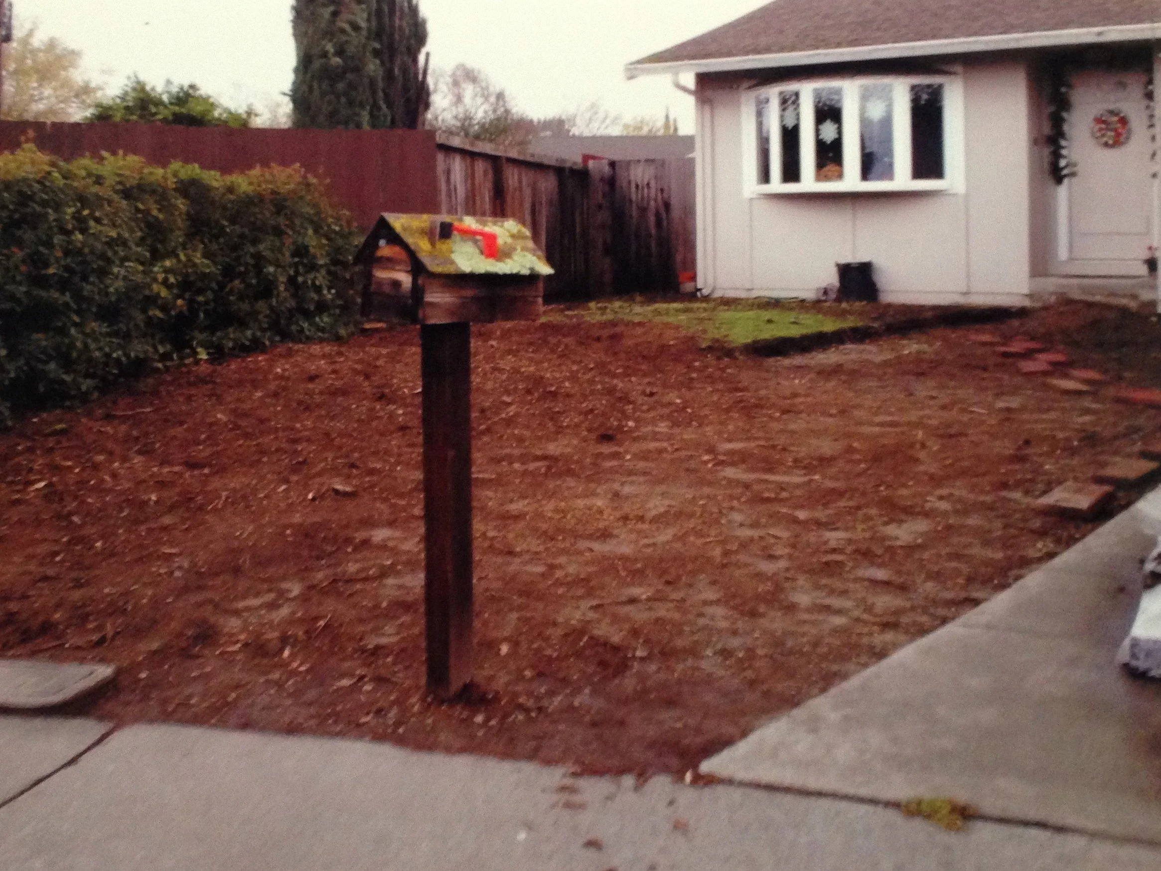 Space Before Plantings and Pathway