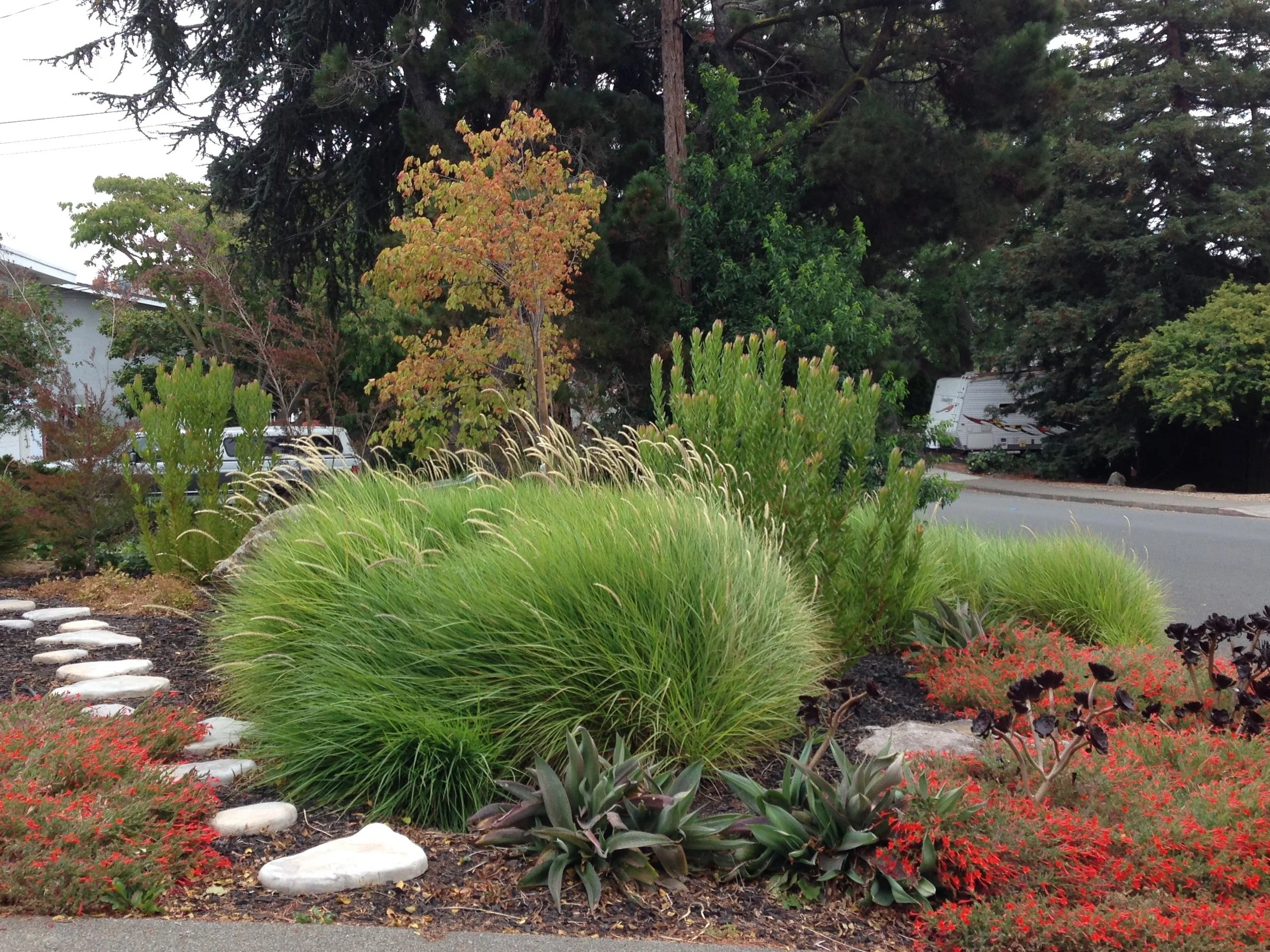 Contrasting stone brings pop to the natural colors