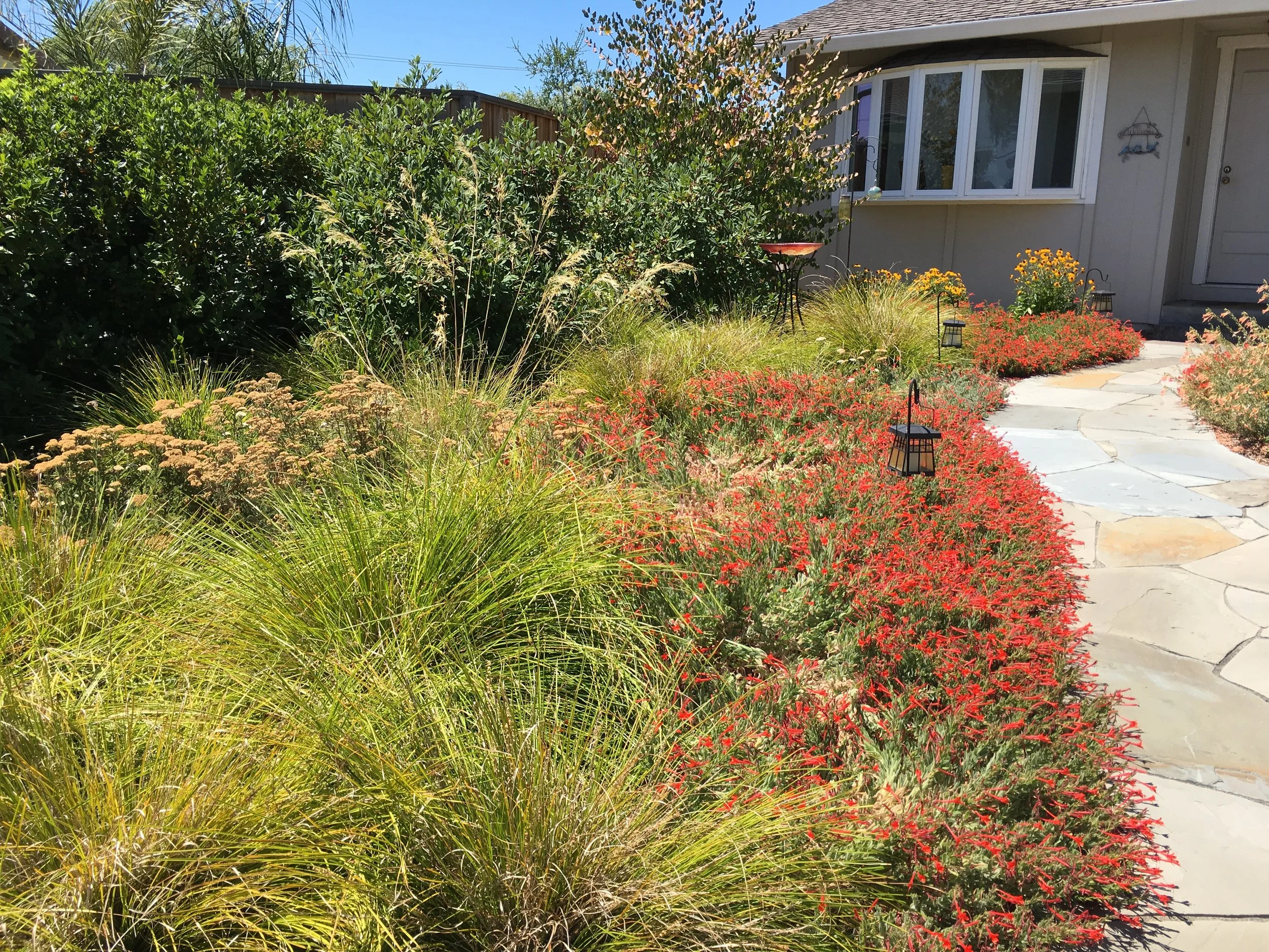 Year 5 After Planting