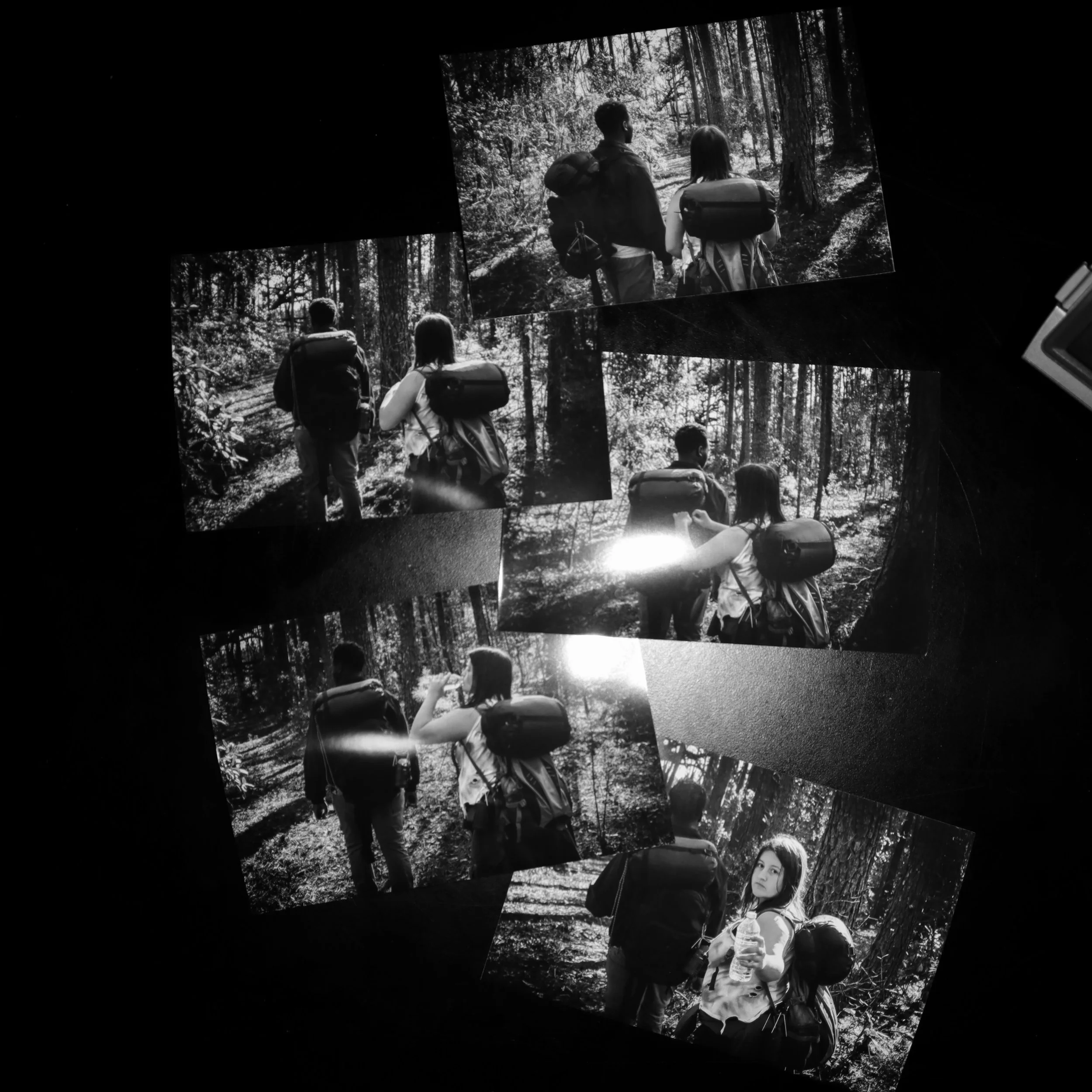 The One United State of America