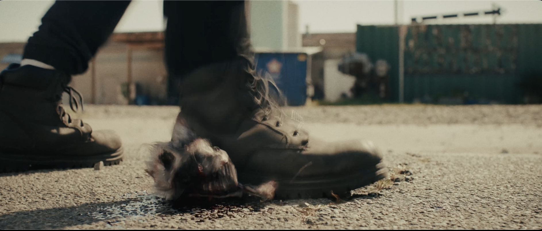 Screenshot 2026-02-02 at 7.42.57 PM.png