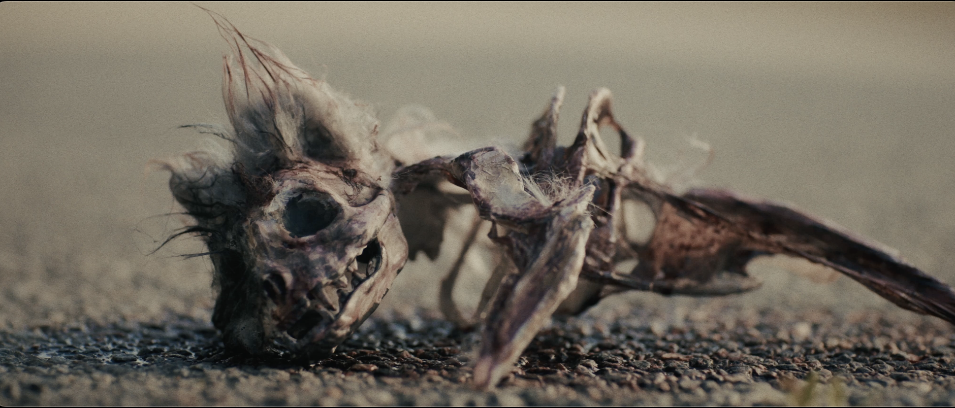 Screenshot 2026-02-02 at 7.39.02 PM.png