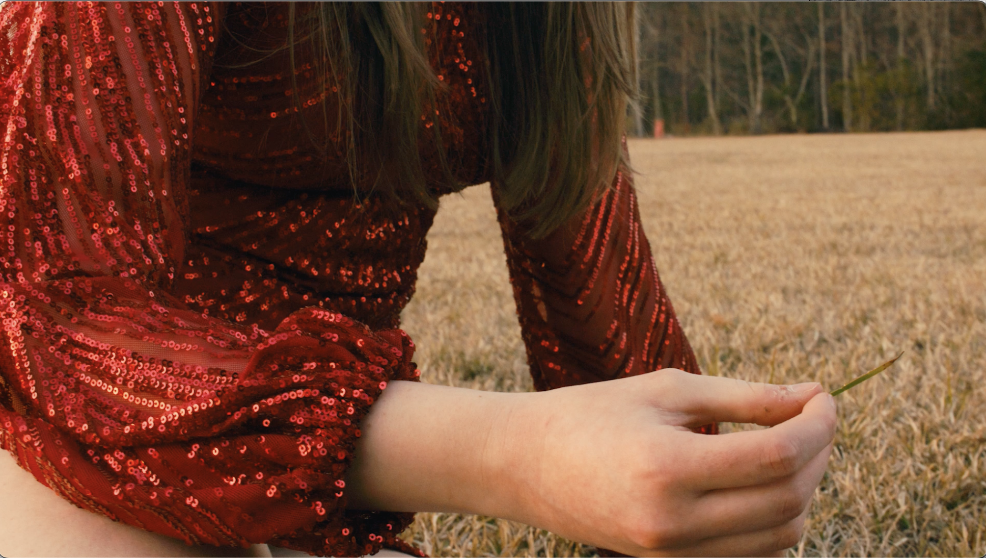 Screenshot 2026-02-02 at 7.04.29 PM.png