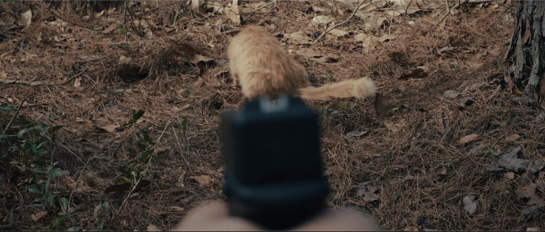 Screenshot 2026-02-02 at 7.47.03 PM.png