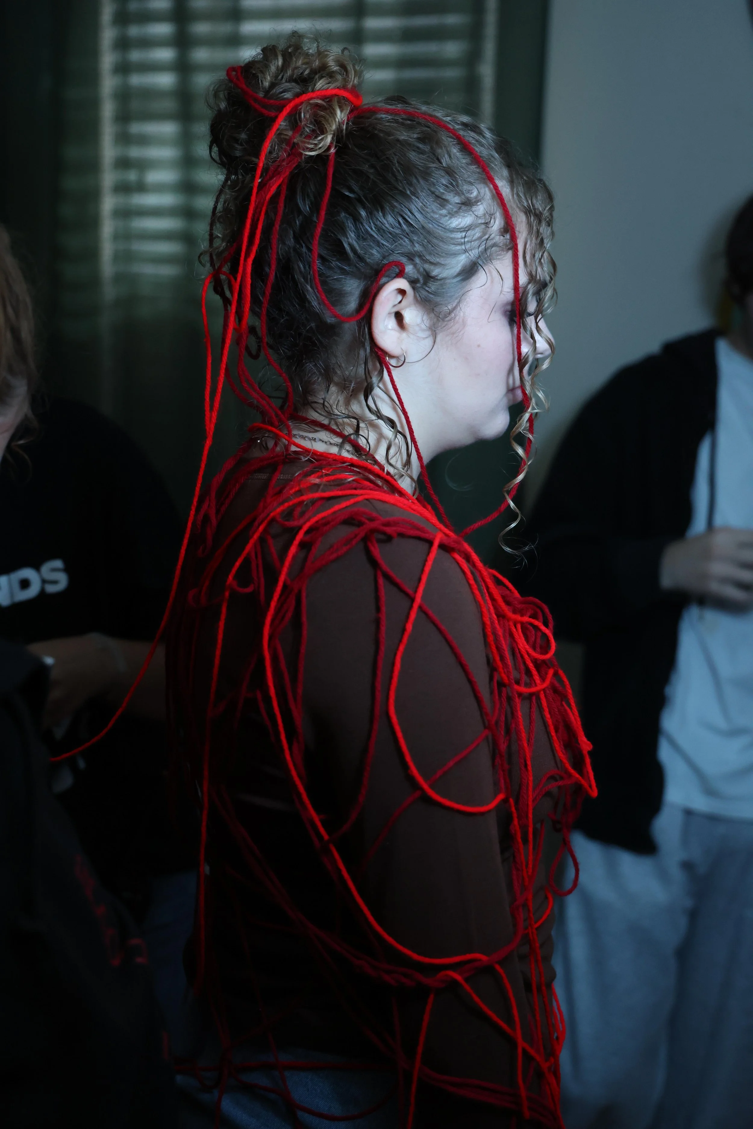 REDSTRINGBTS-64.jpg