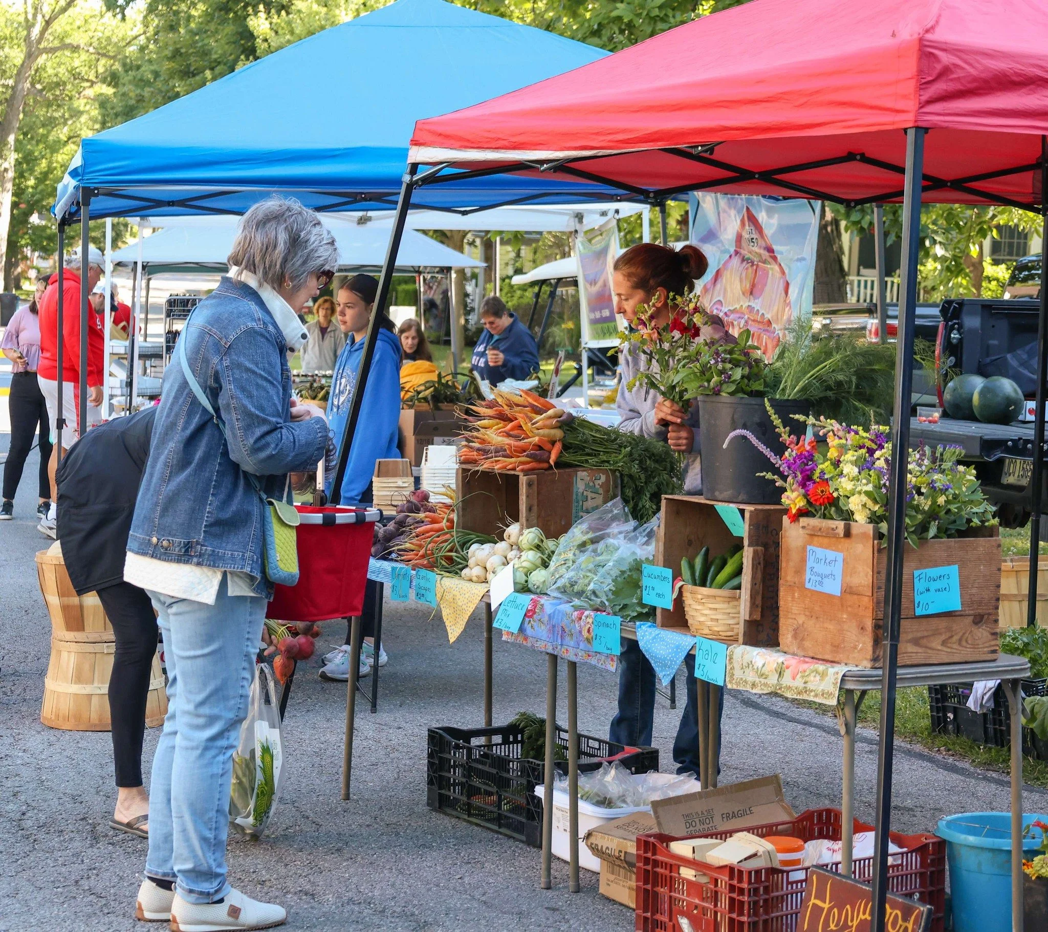 A farmer's market with multiple stalls selling fresh vegetables, flowers, and plants. A customer is purchasing carrots from a vendor behind a stall decorated with colorful signs.