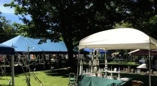 Outdoor market or fair with tents and tables set up under trees in a park or grassy area.